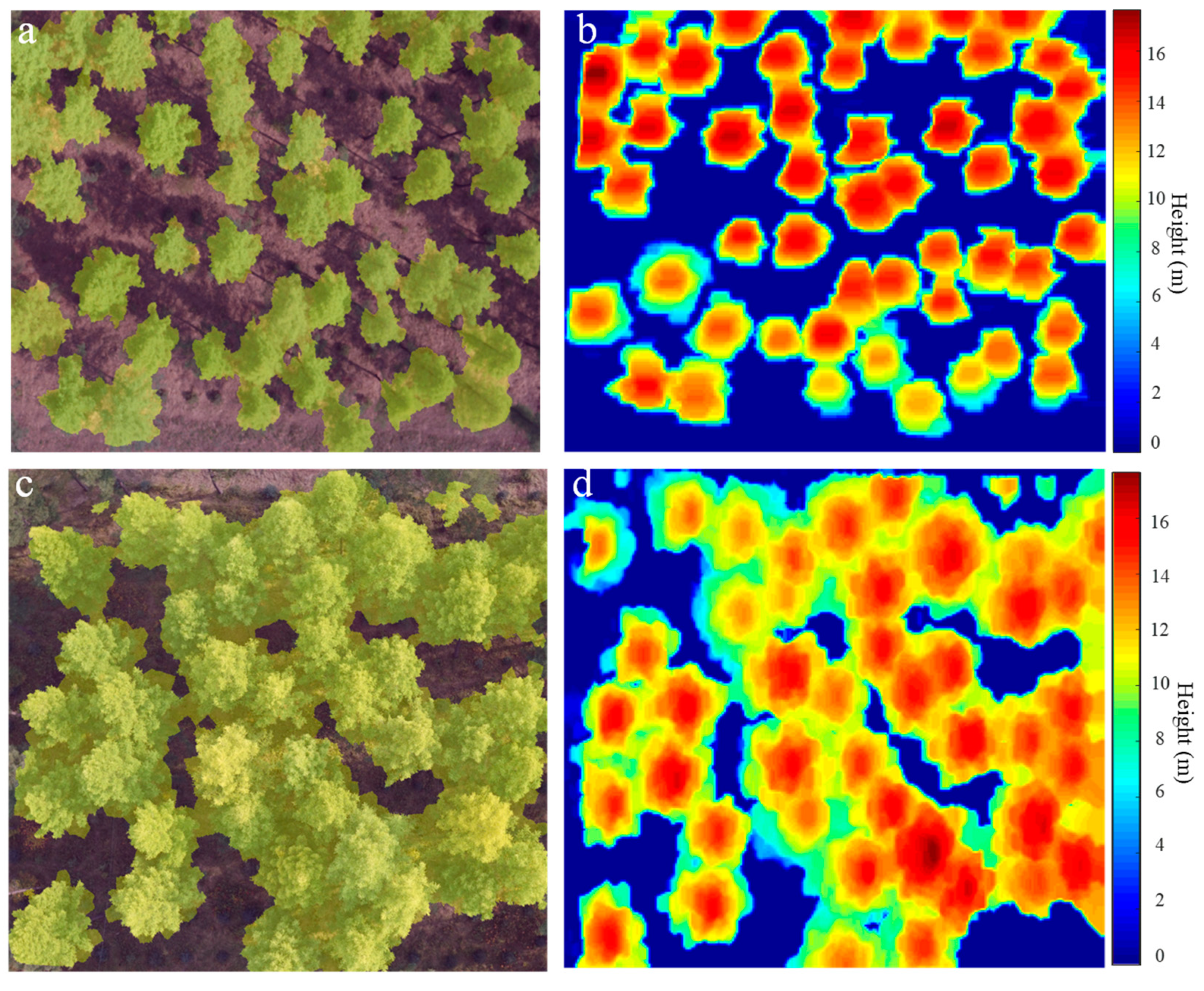 Remotesensing 12 00298 g007