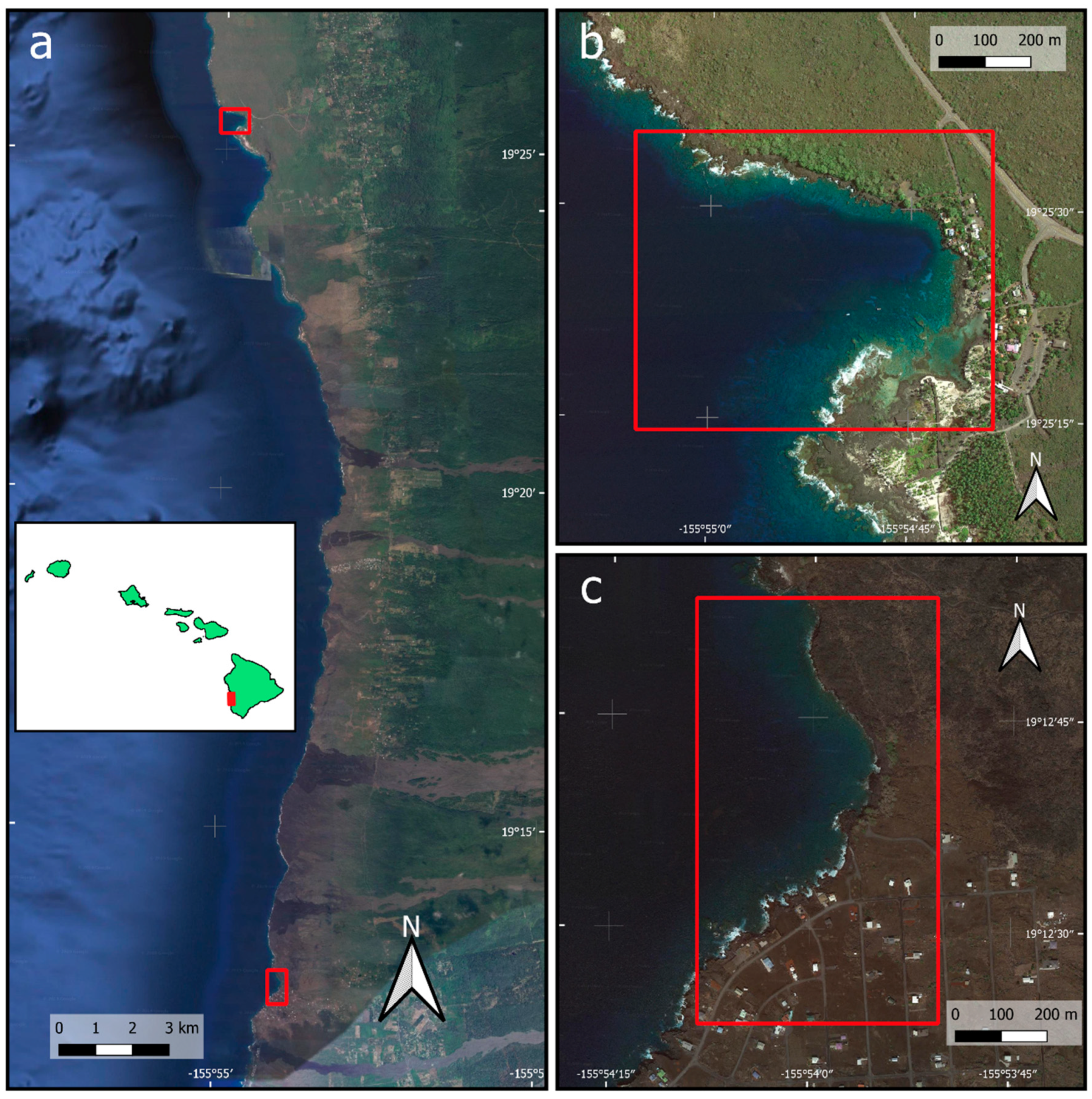 Remotesensing 12 00310 g001