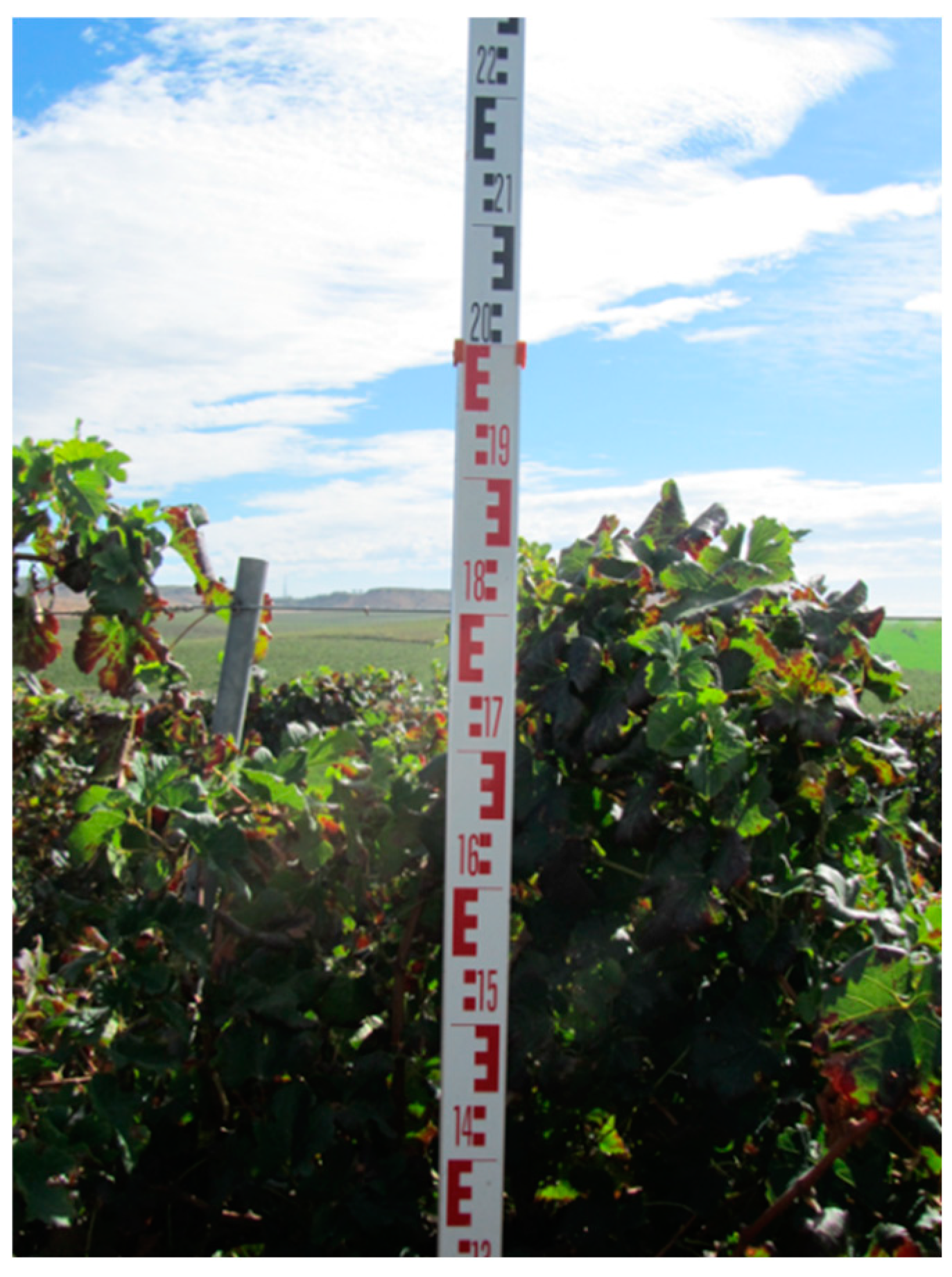 Remotesensing 12 00317 g003