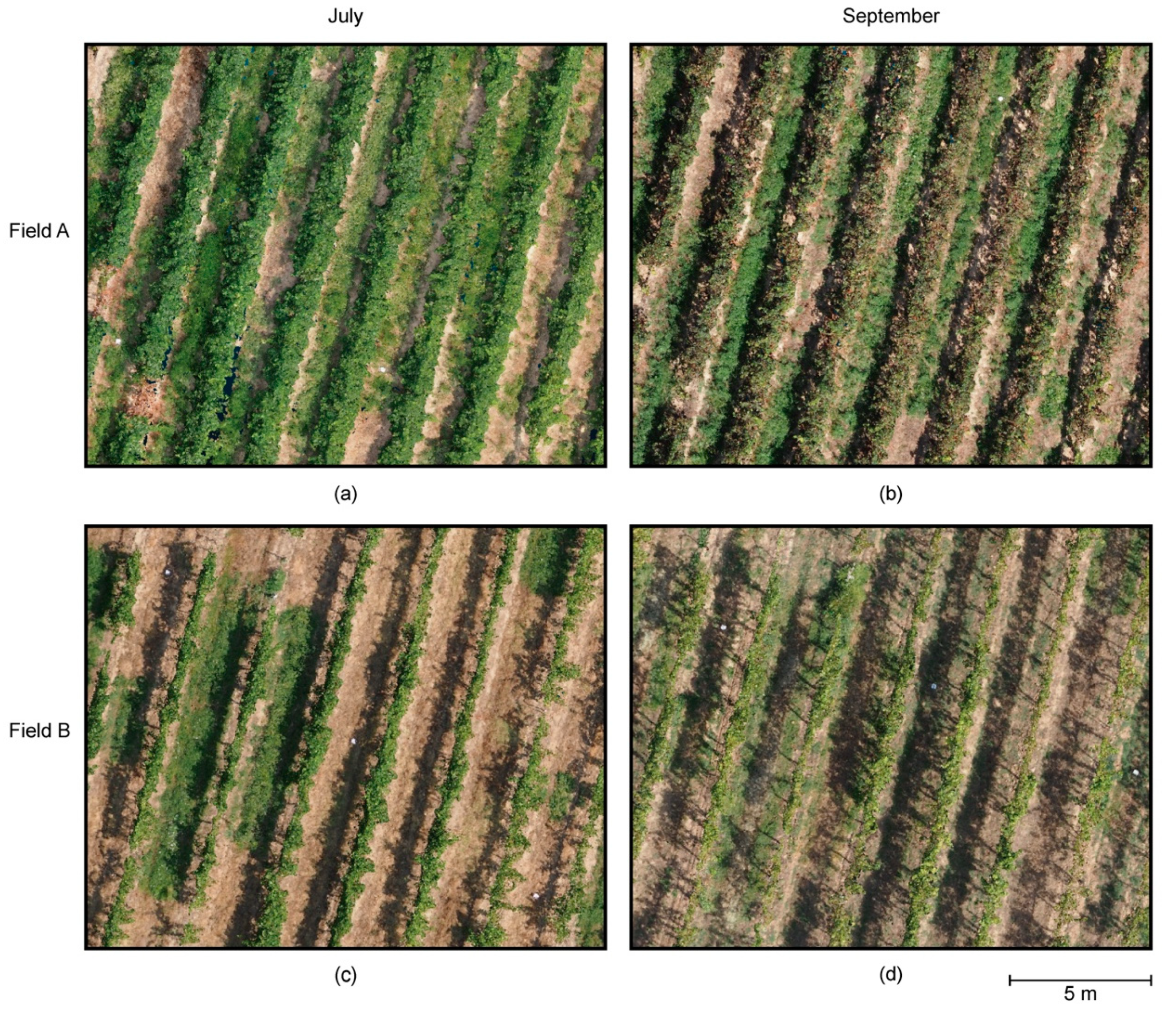 Remotesensing 12 00317 g004