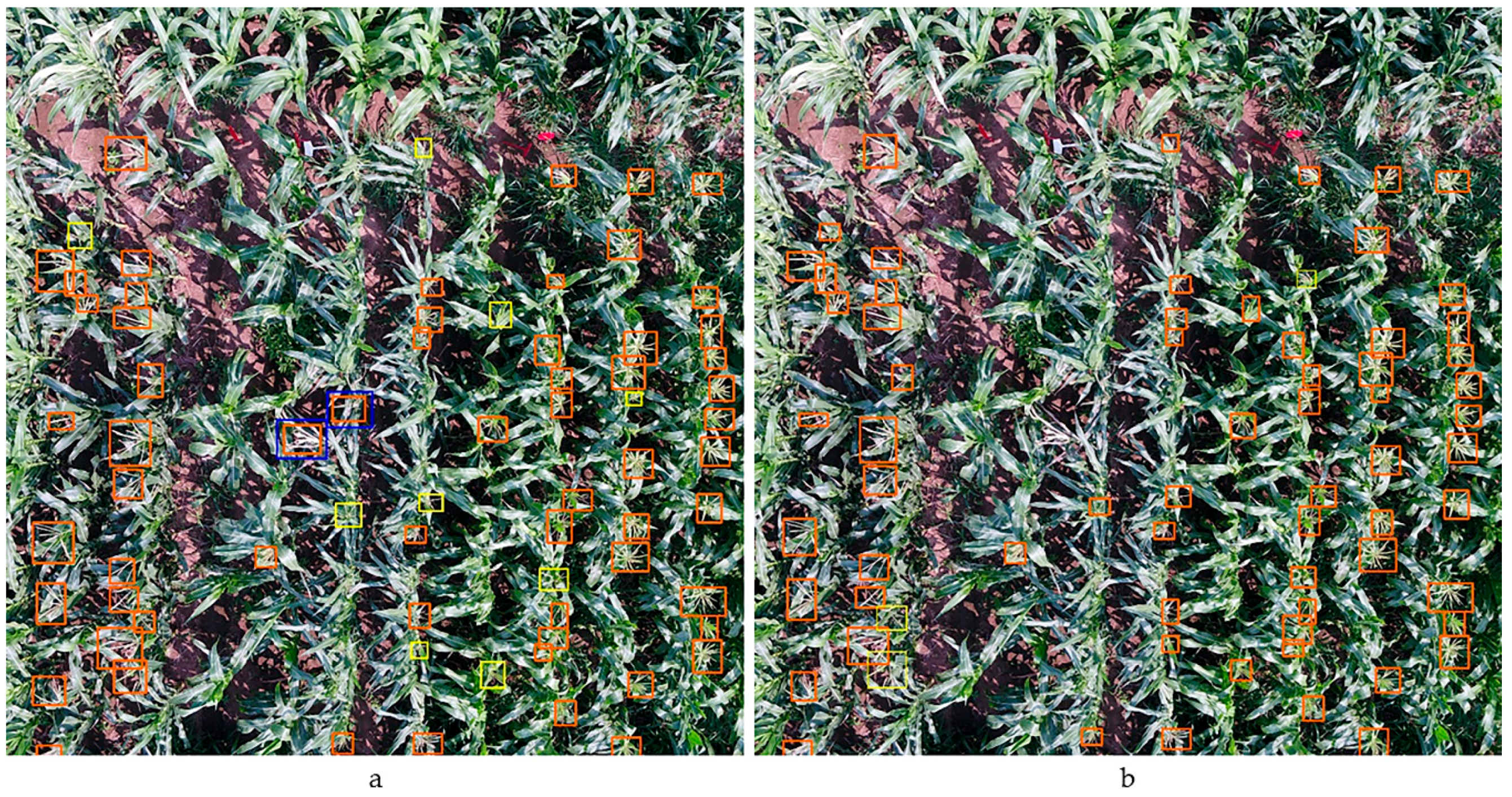 Remotesensing 12 00338 g009