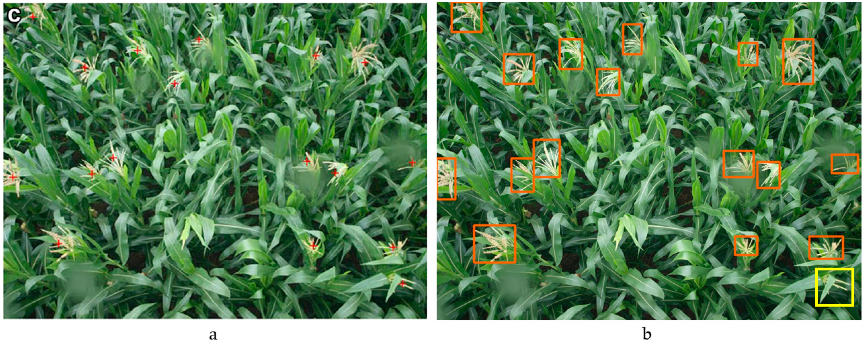 Remotesensing 12 00338 g011