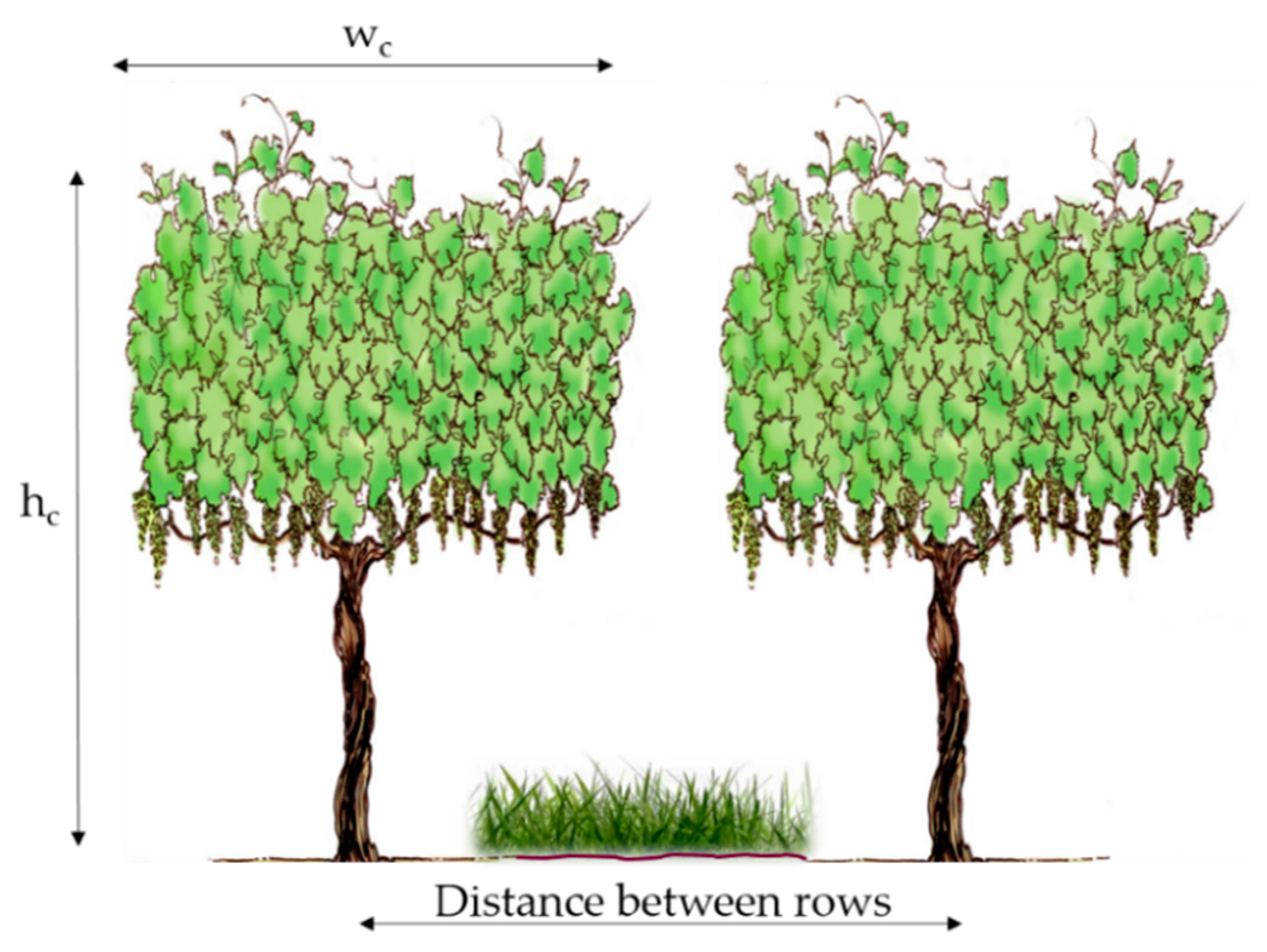 Remotesensing 12 00342 g002