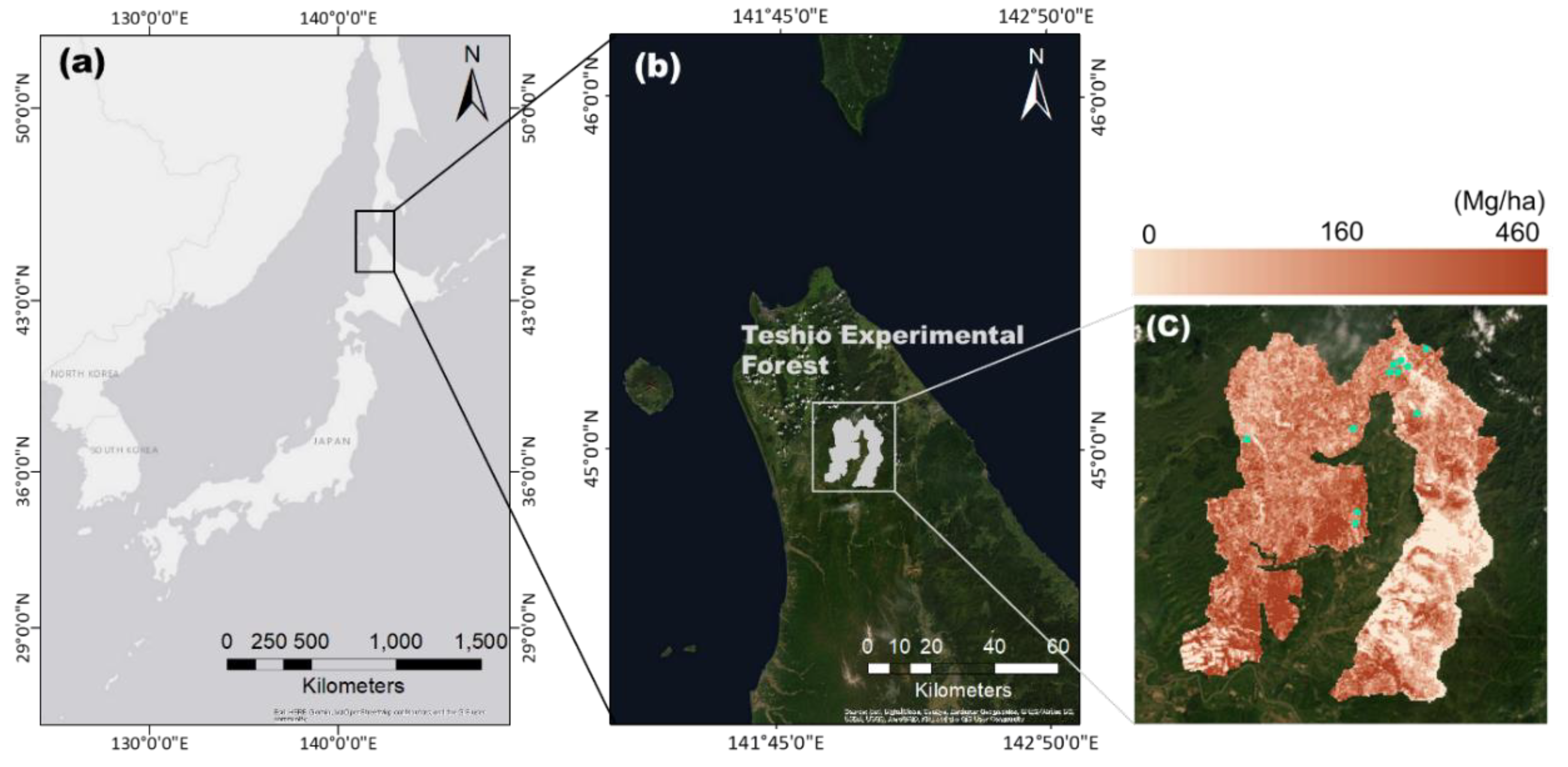Remotesensing 12 00349 g001