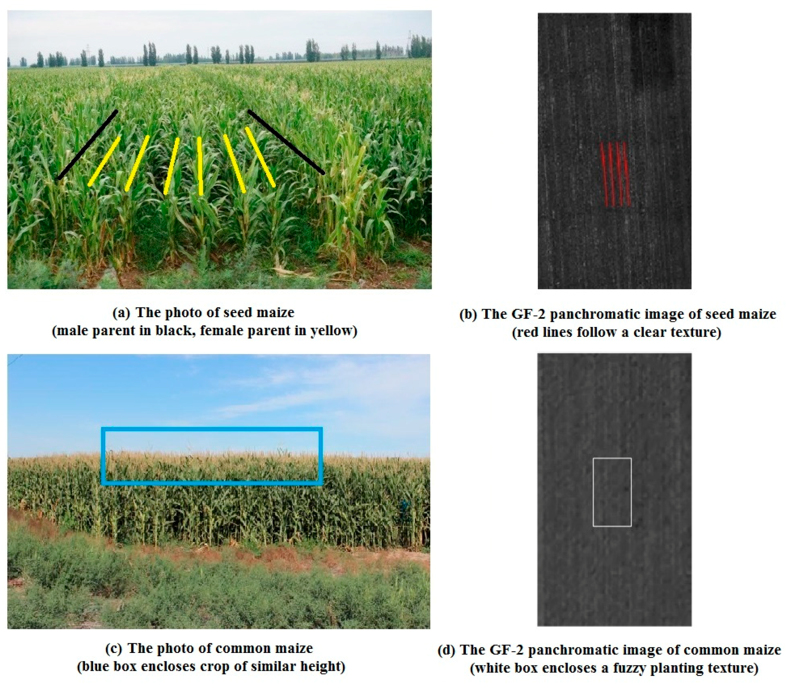 Remotesensing 12 00362 g002