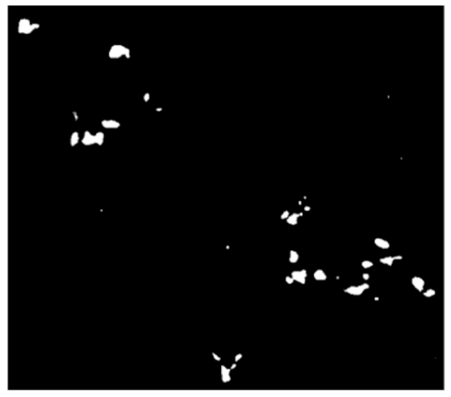 Remotesensing 12 00367 i010 Remotesensing 12 00367 i010