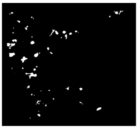 Remotesensing 12 00367 i011 Remotesensing 12 00367 i011