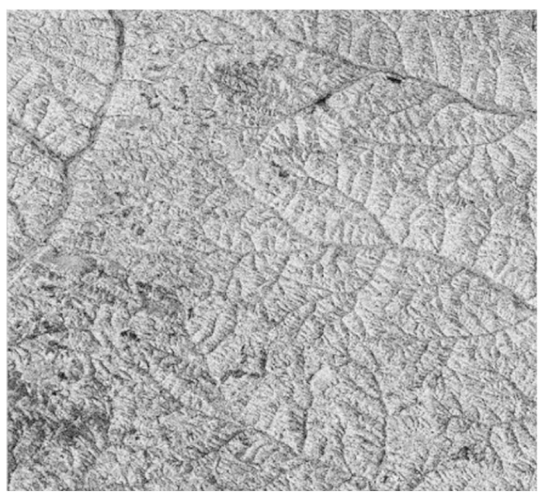 Remotesensing 12 00367 i016 Remotesensing 12 00367 i016