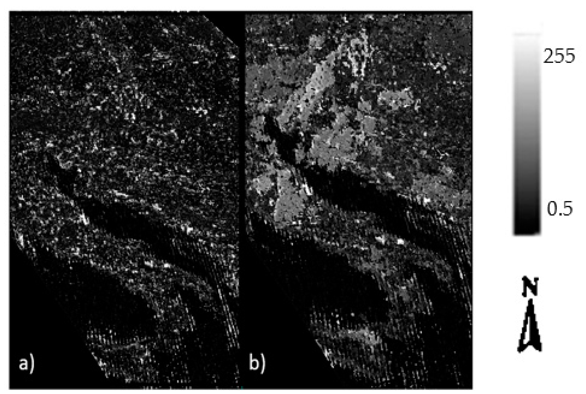 Remotesensing 12 00371 g010
