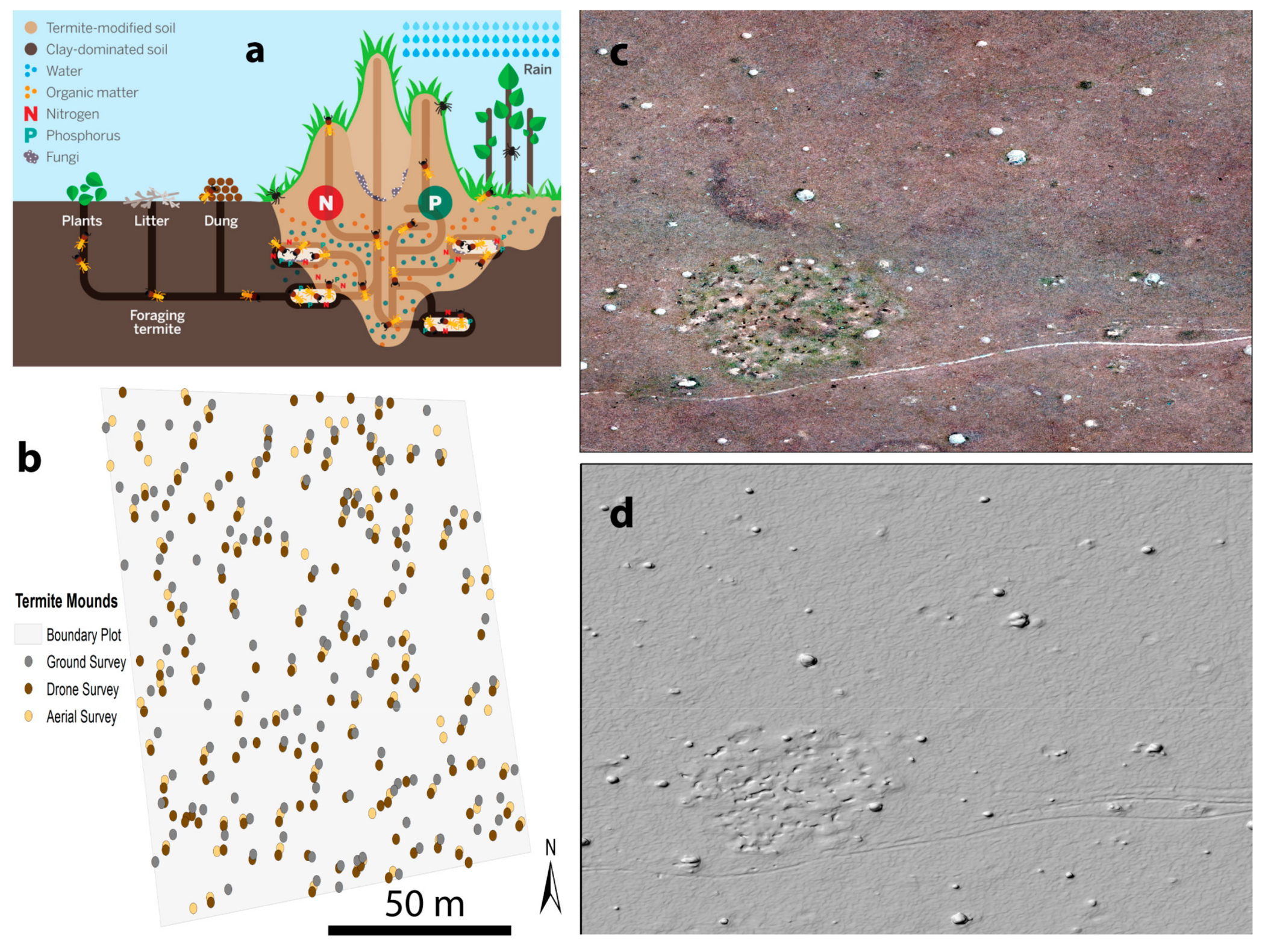 Remotesensing 12 00420 g006