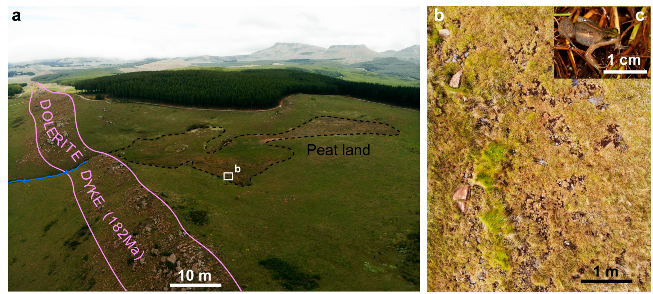 Remotesensing 12 00420 g007