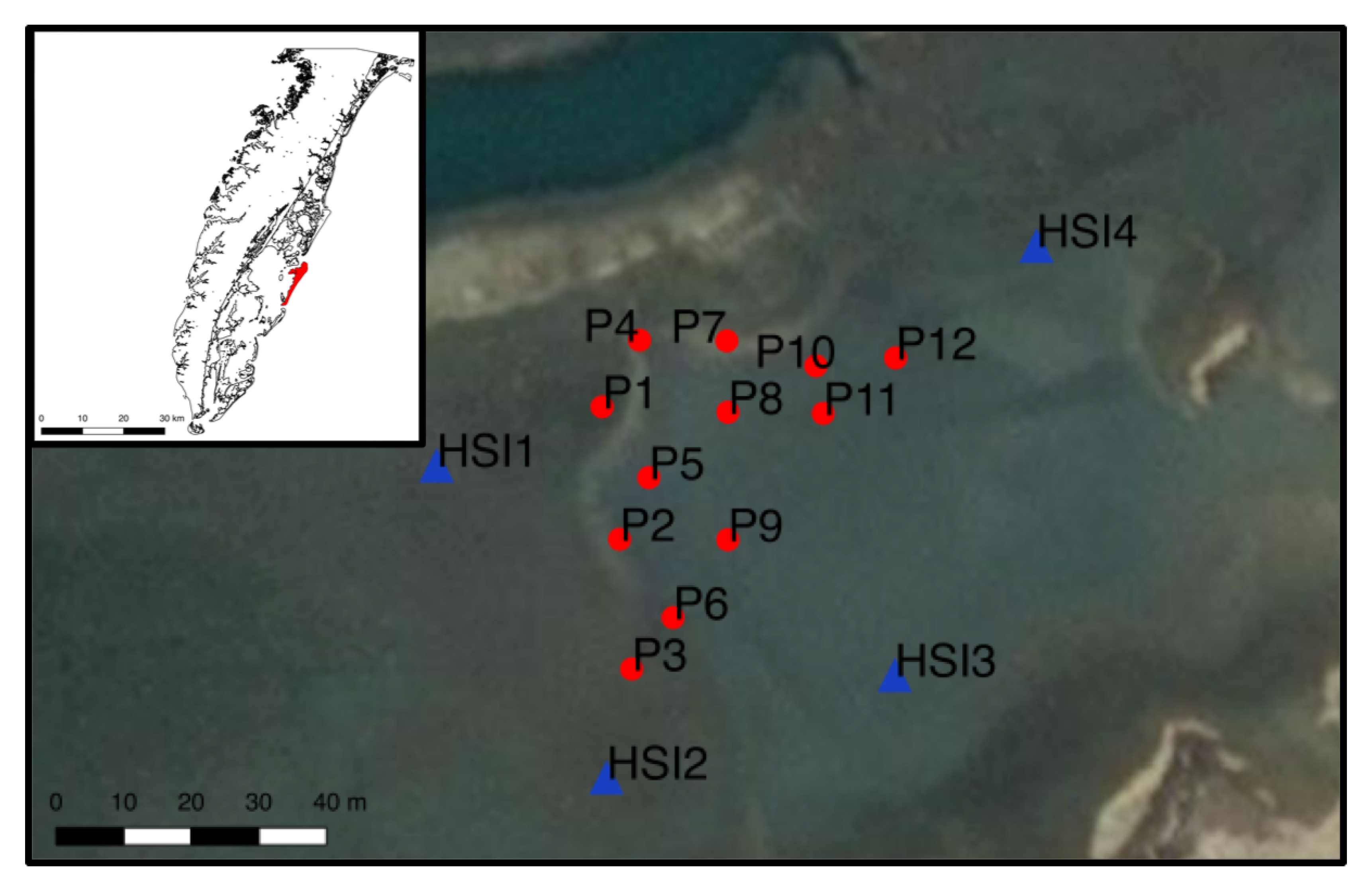 Remotesensing 12 00422 g001