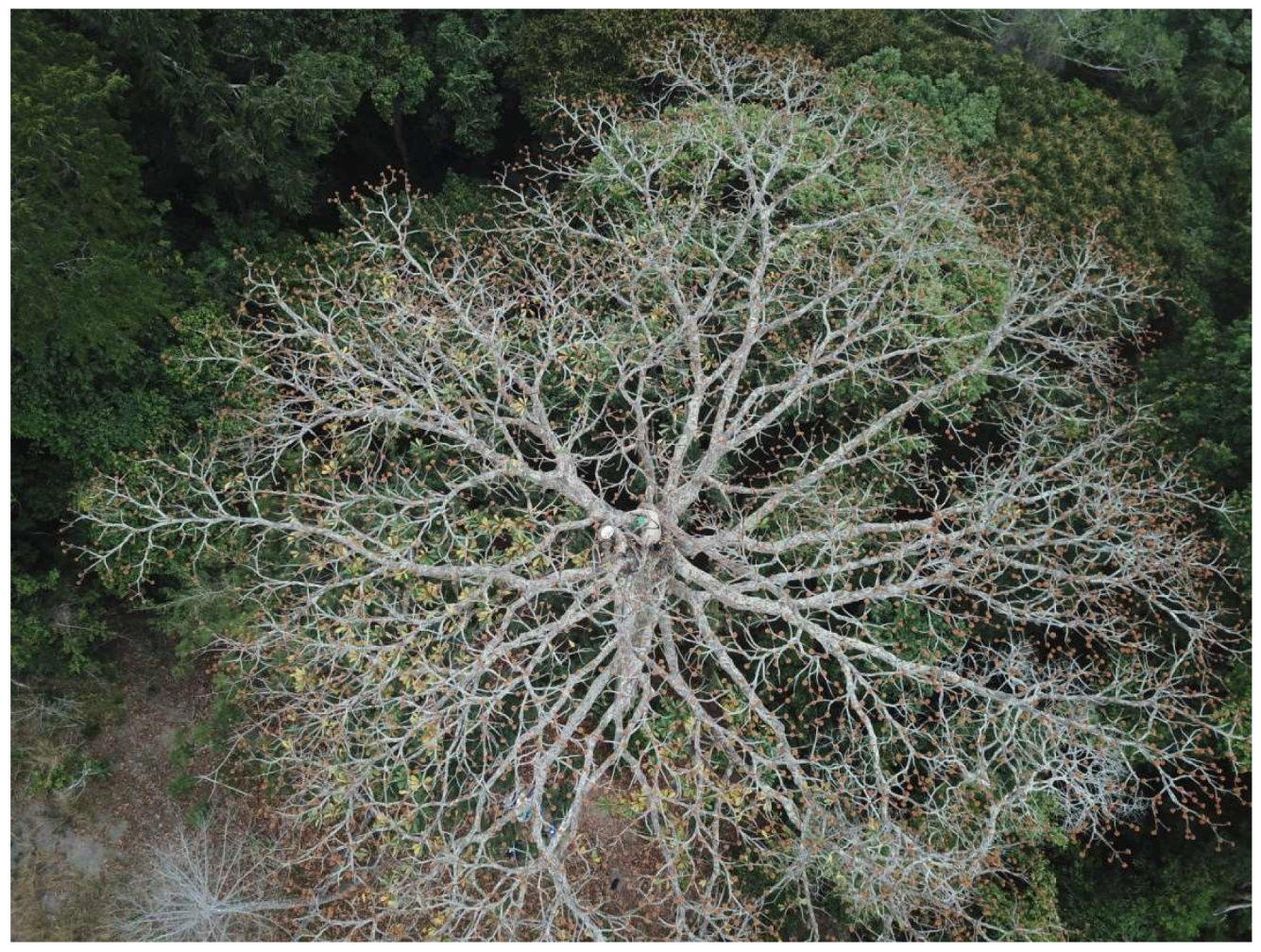 Remotesensing 12 00429 g008 Remotesensing 12 00429 g008