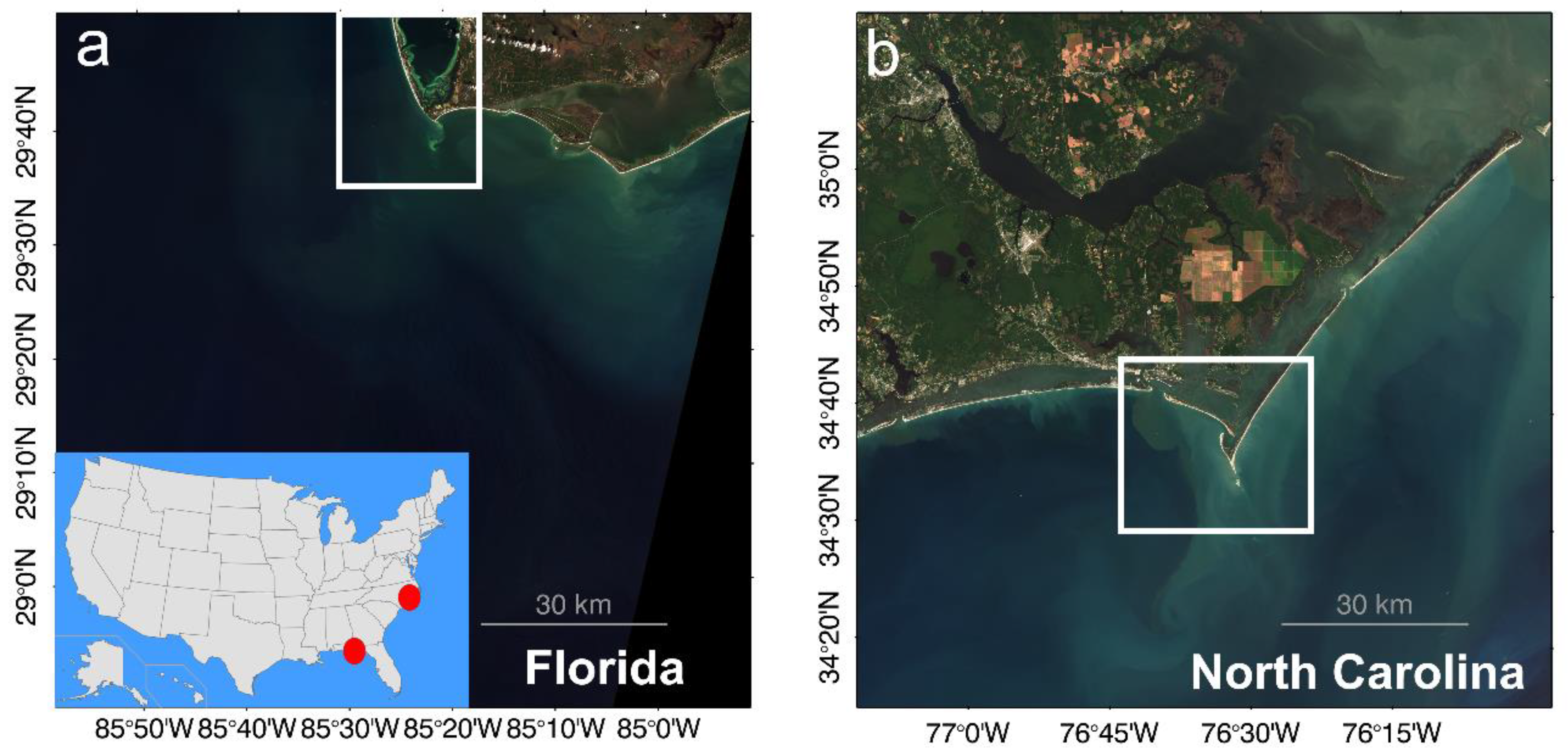 Remotesensing 12 00451 g001 Remotesensing 12 00451 g001