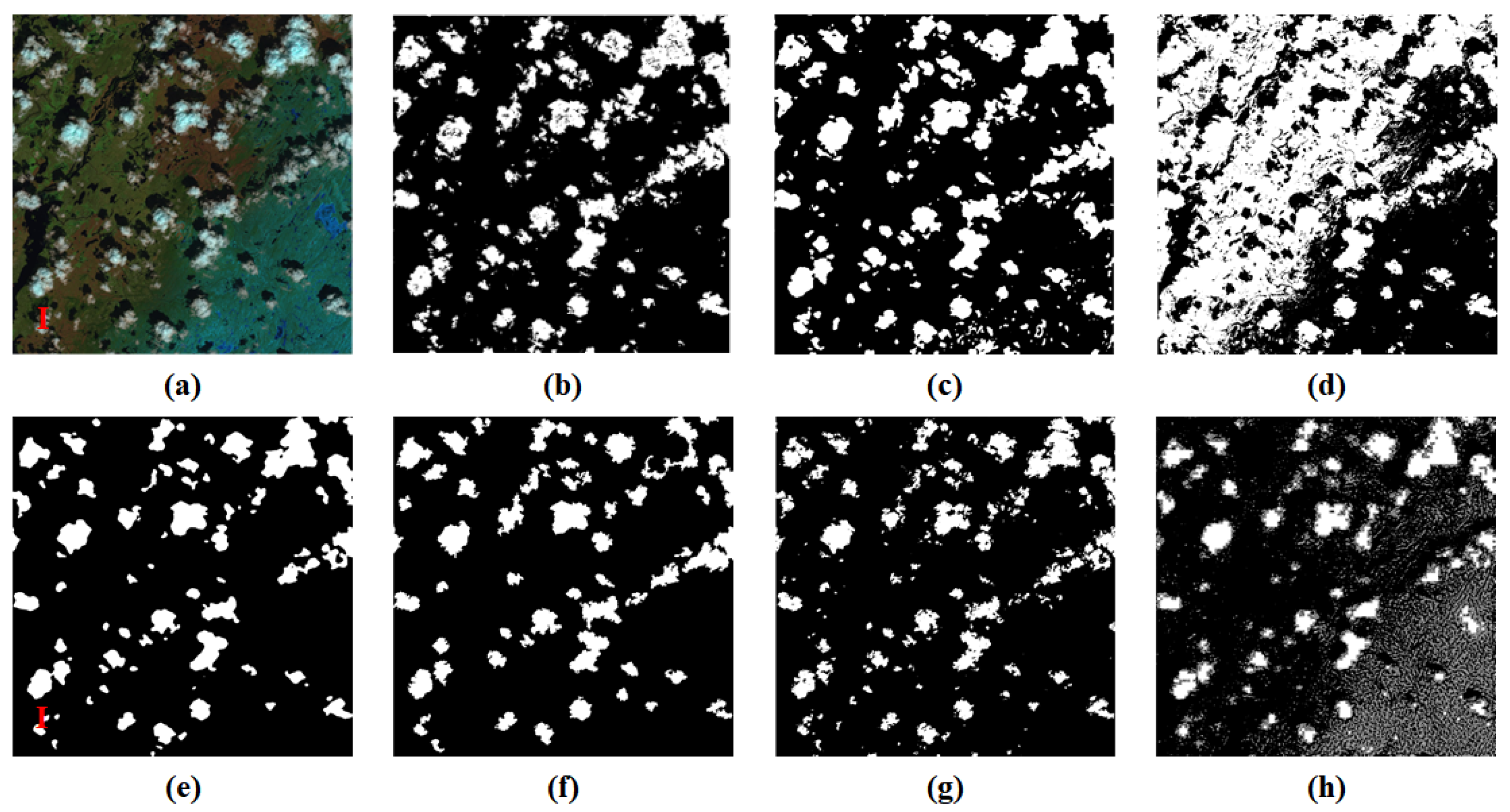 Remotesensing 12 00456 g004 Remotesensing 12 00456 g004