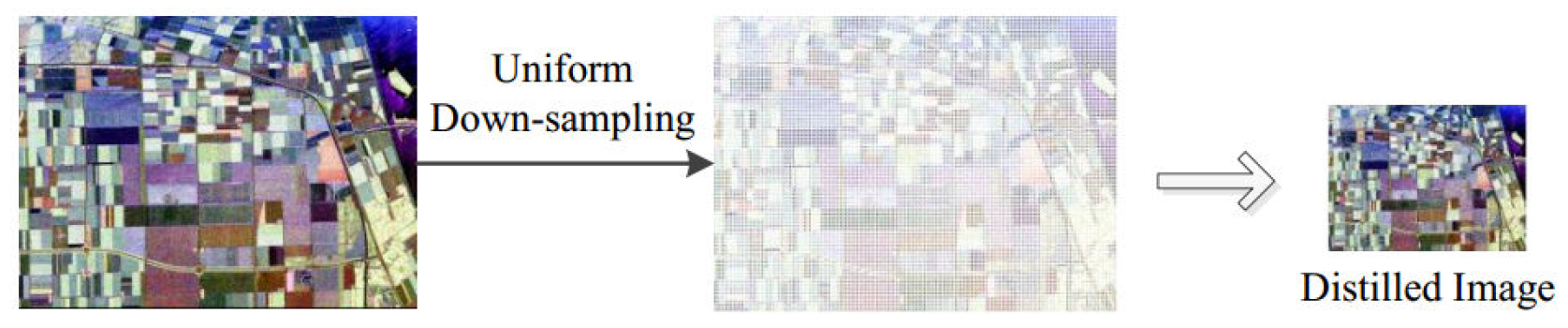 Remotesensing 12 00459 g001 Remotesensing 12 00459 g001