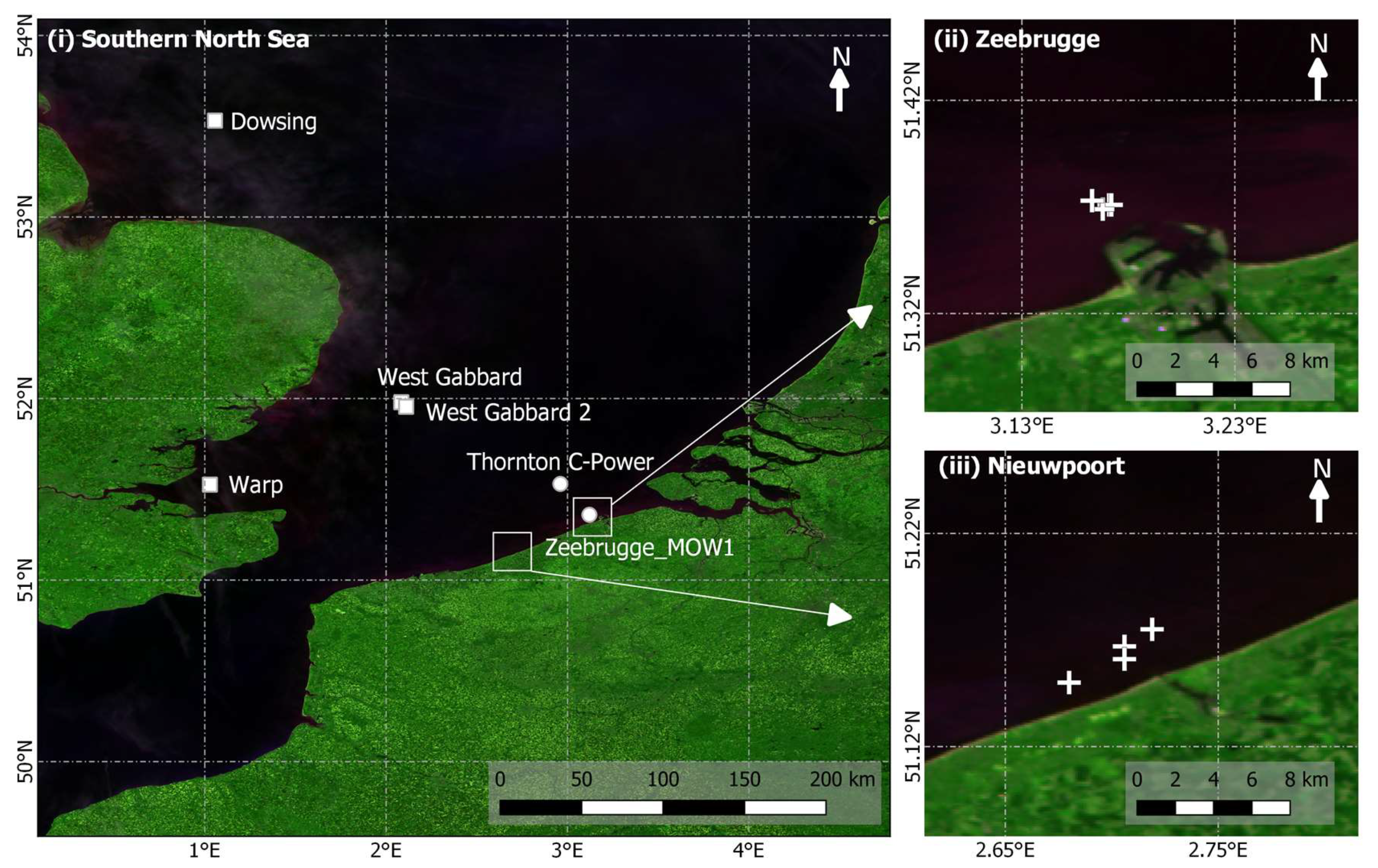 Remotesensing 12 00463 g002