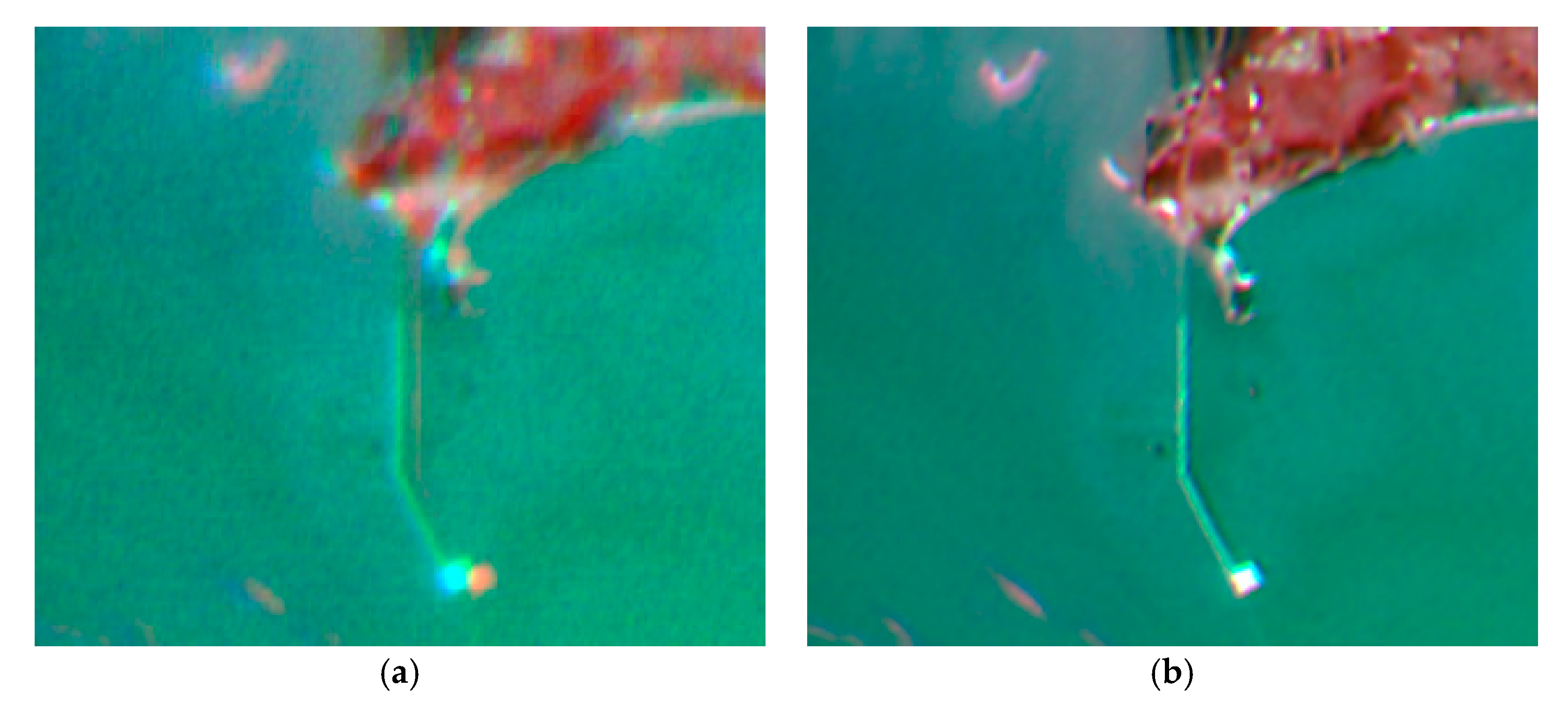 Remotesensing 12 00466 g003