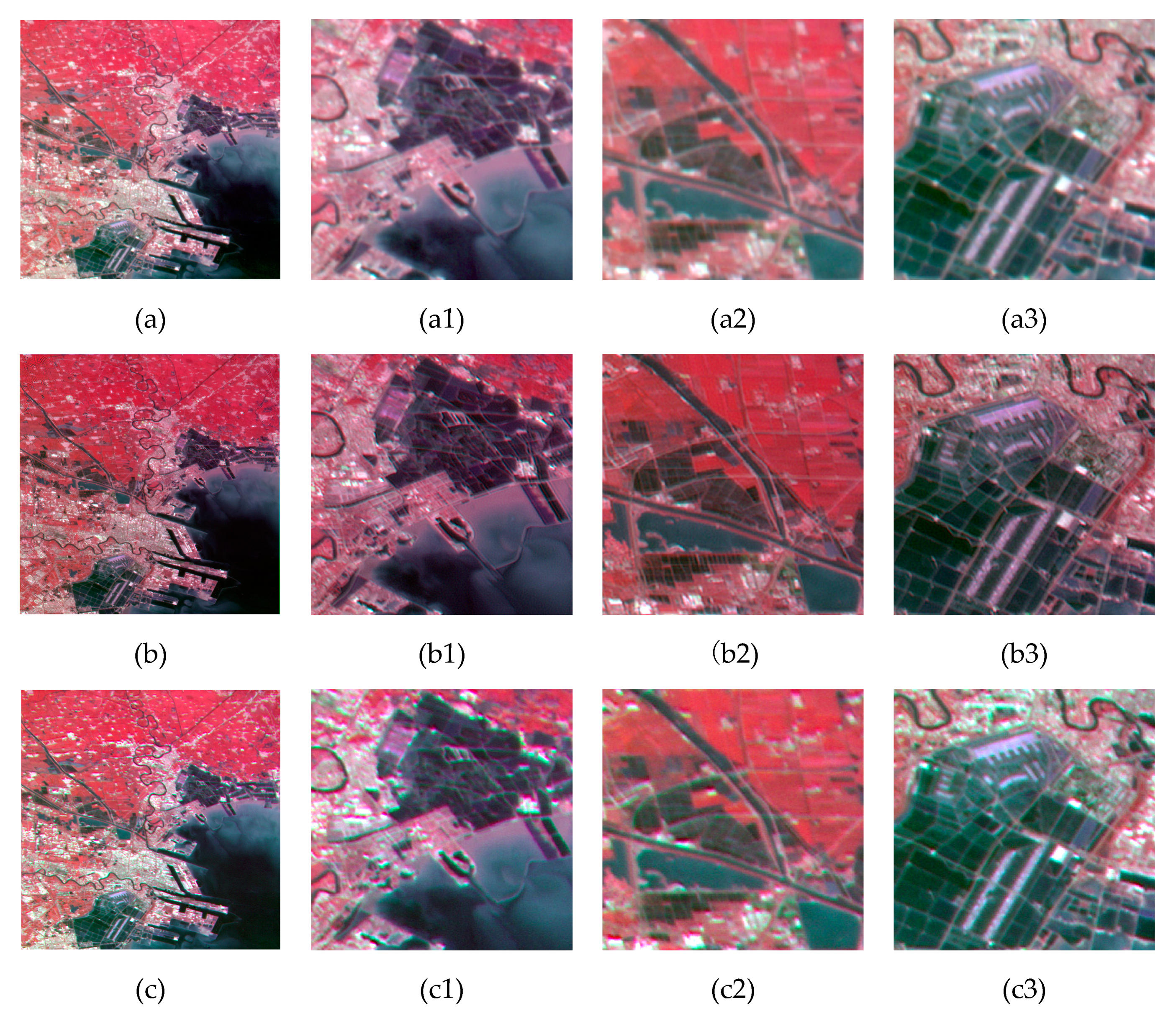 Remotesensing 12 00466 g004a