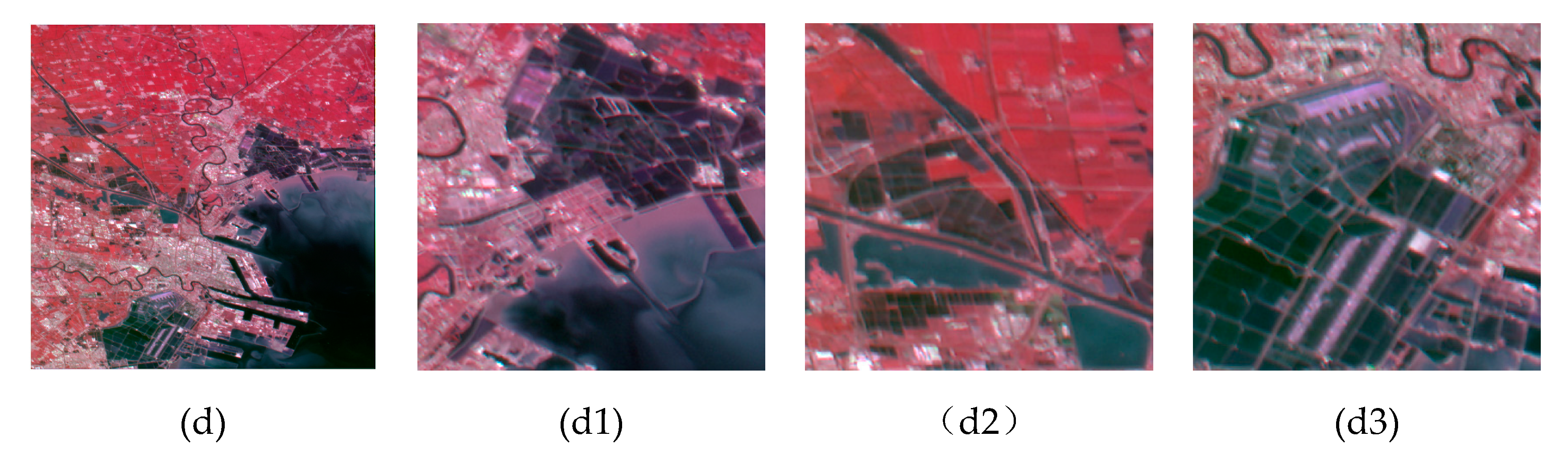 Remotesensing 12 00466 g004b