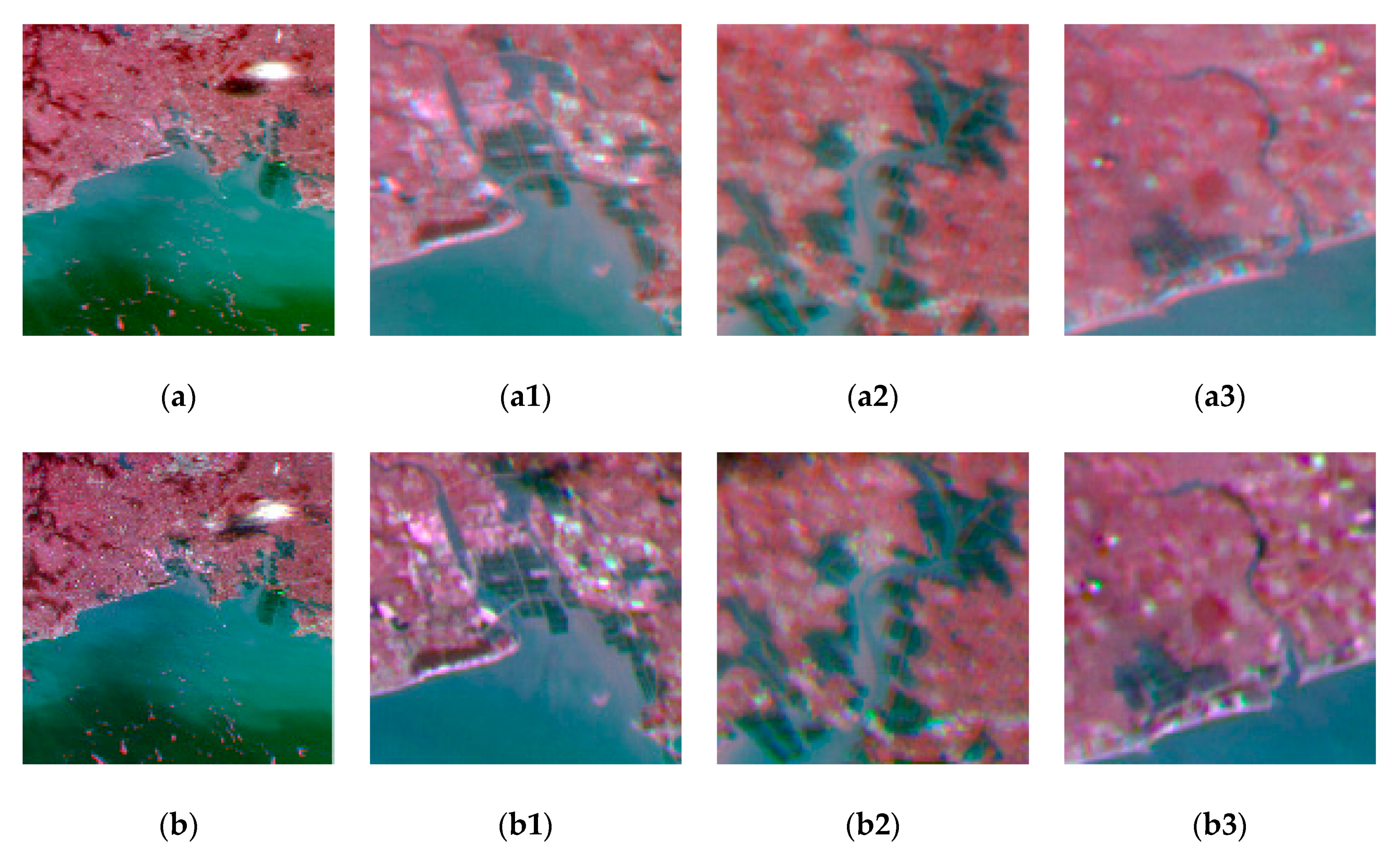 Remotesensing 12 00466 g008a