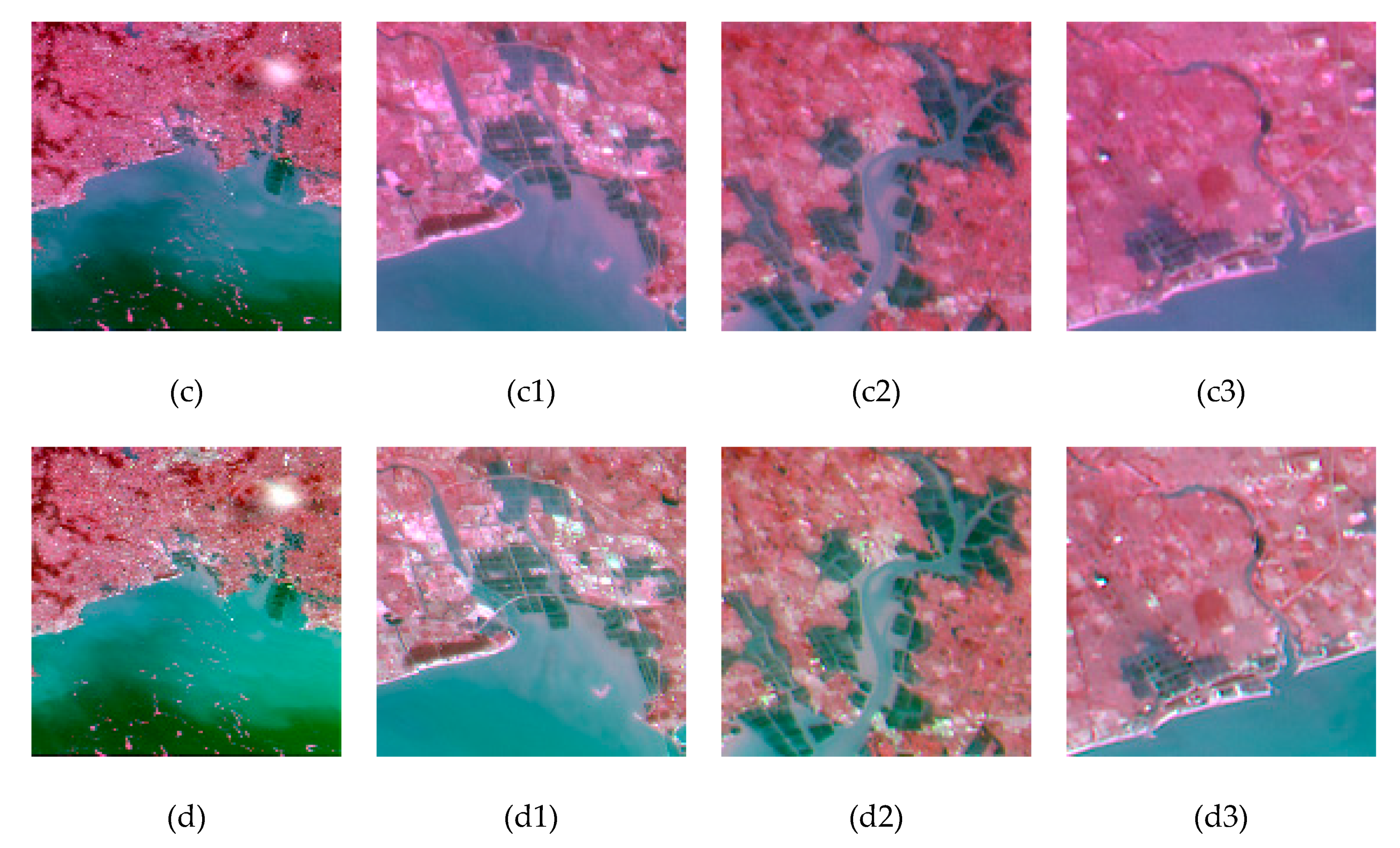 Remotesensing 12 00466 g008b