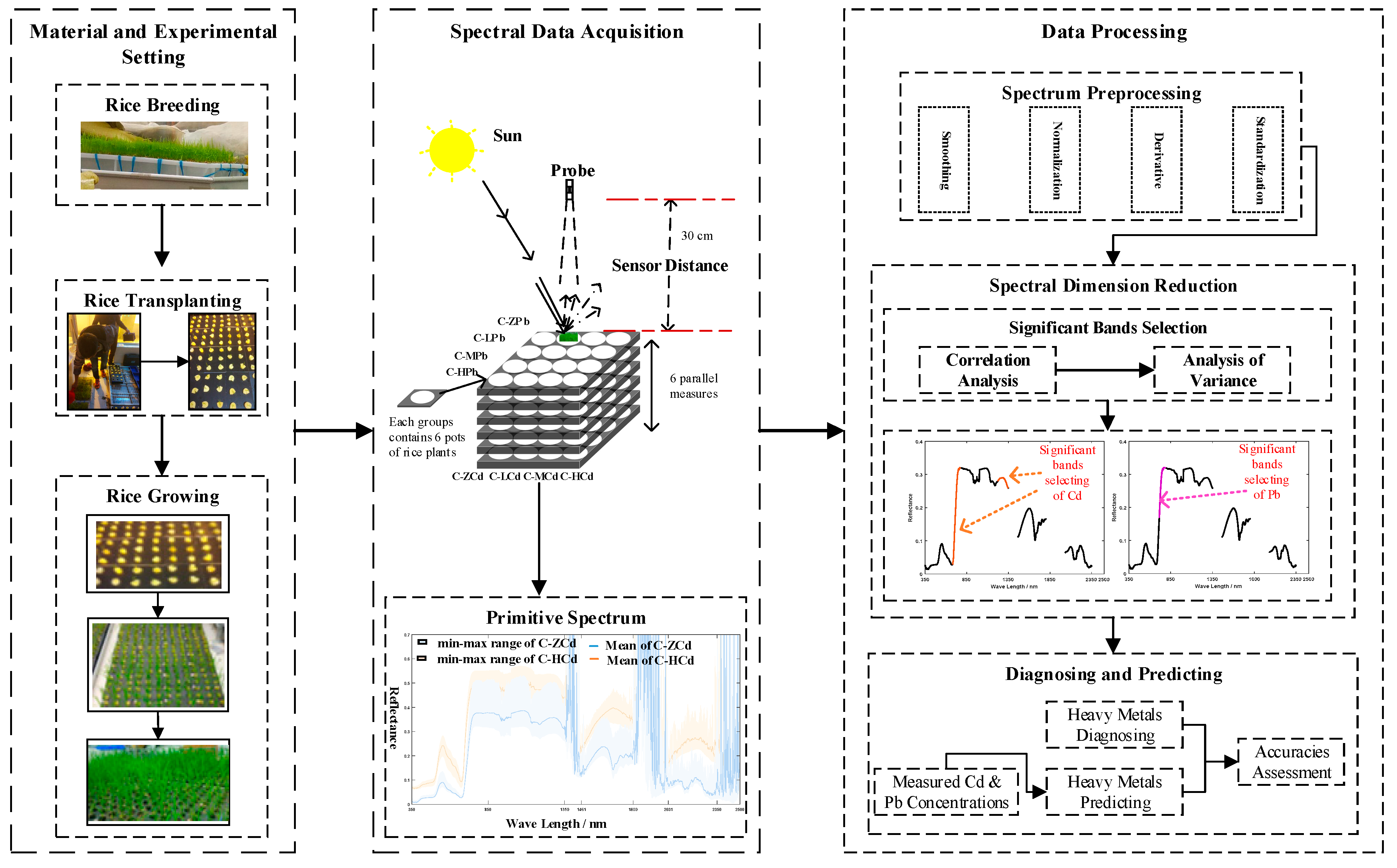 Remotesensing 12 00469 g002 Remotesensing 12 00469 g002