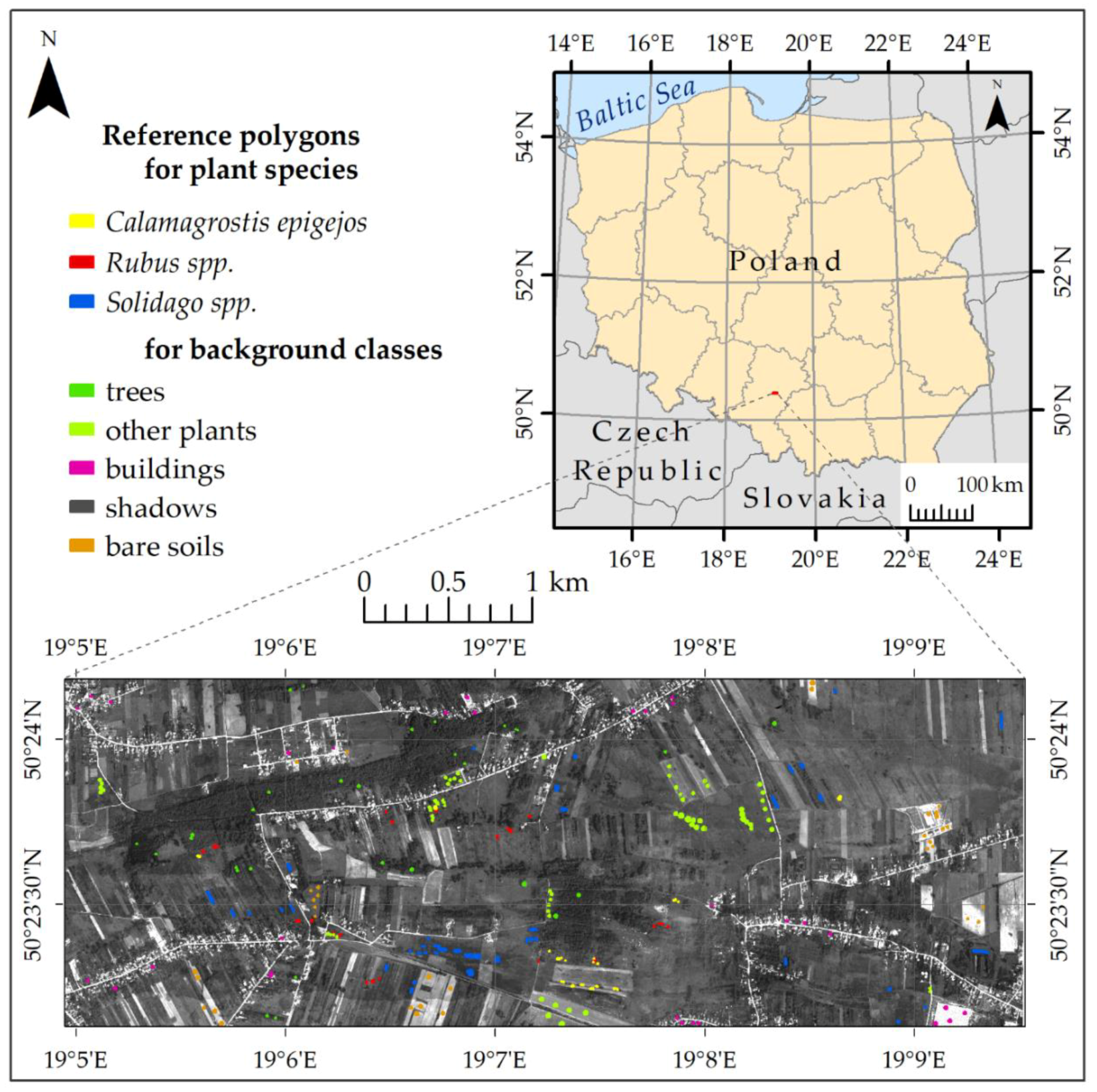 Remotesensing 12 00516 g001