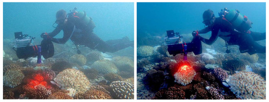 Remotesensing 12 00532 g0a2