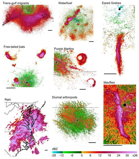 Remotesensing 12 00545 g0a1