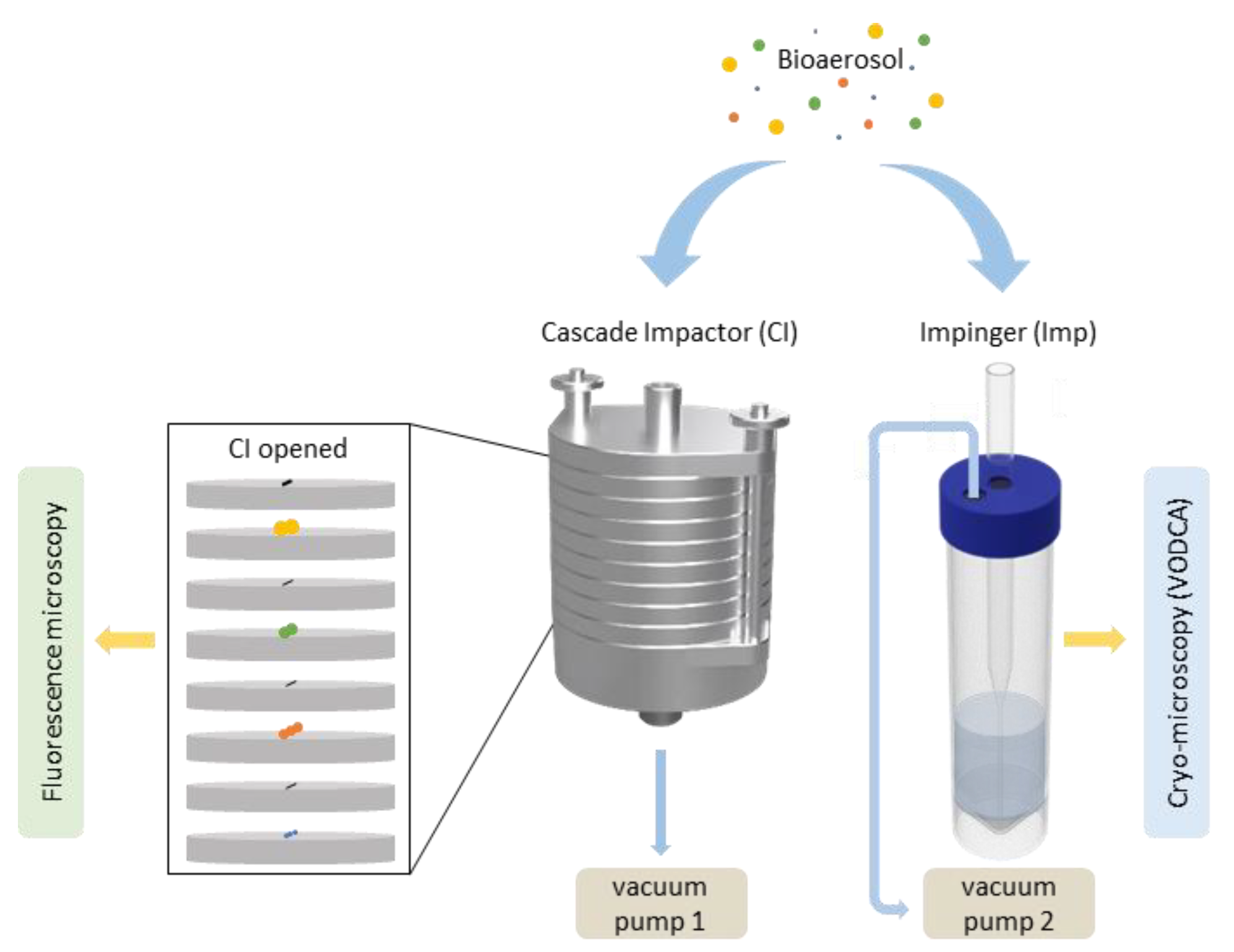 Remotesensing 12 00552 g002