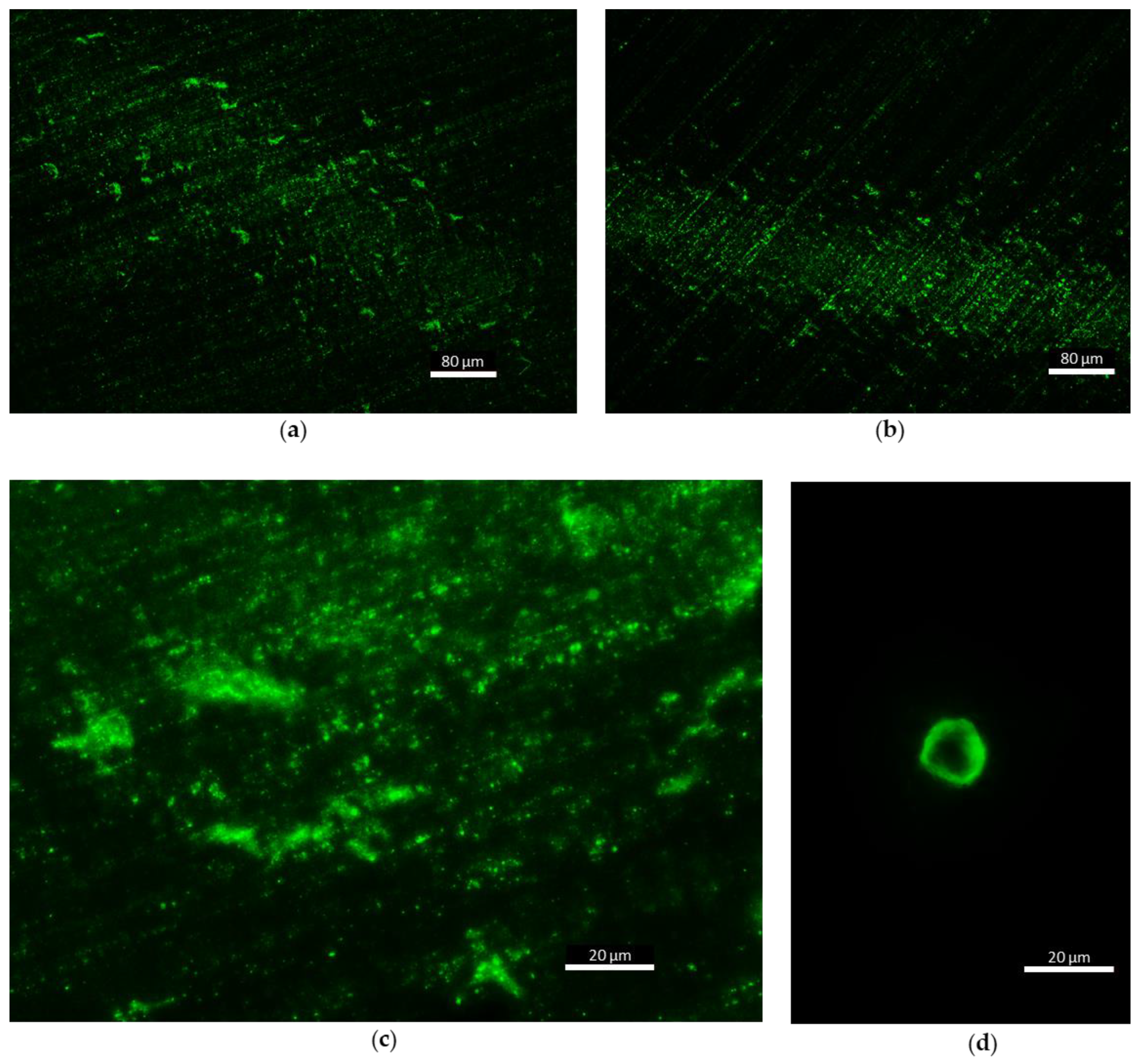 Remotesensing 12 00552 g008