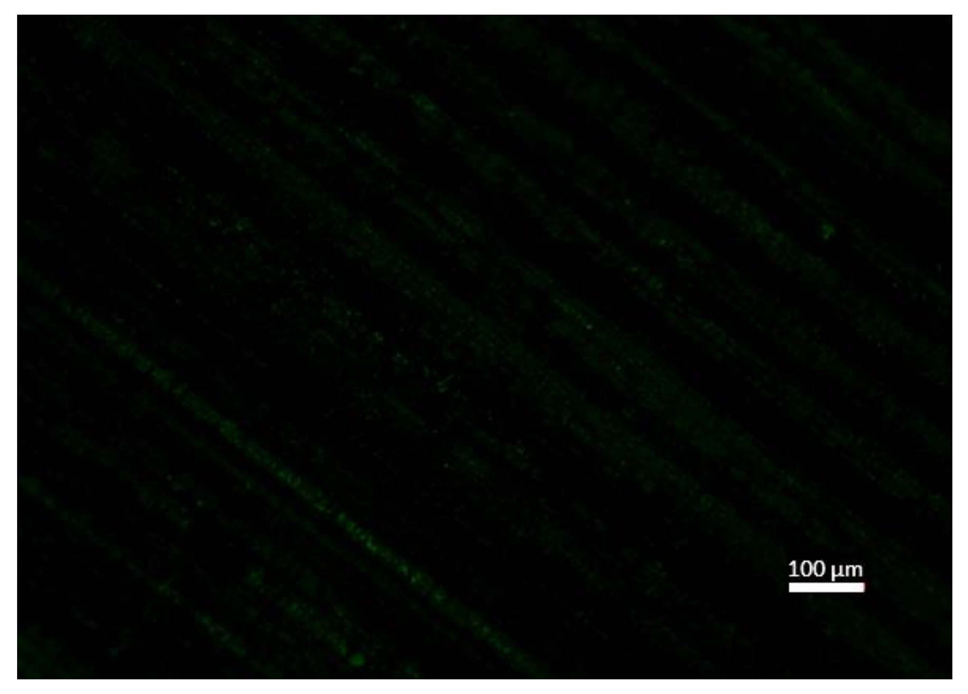 Remotesensing 12 00552 g0a3