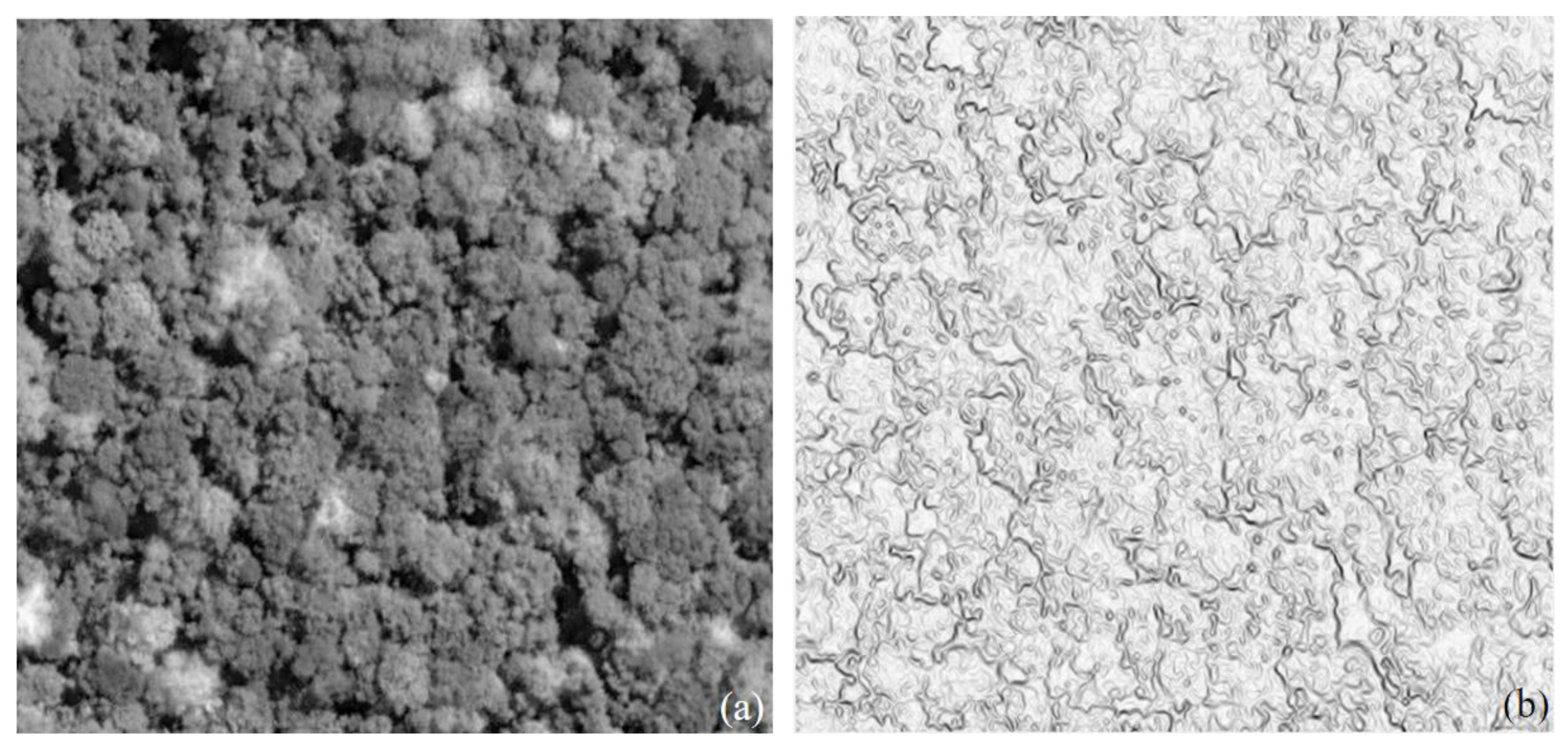 Remotesensing 12 00585 g003 Remotesensing 12 00585 g003