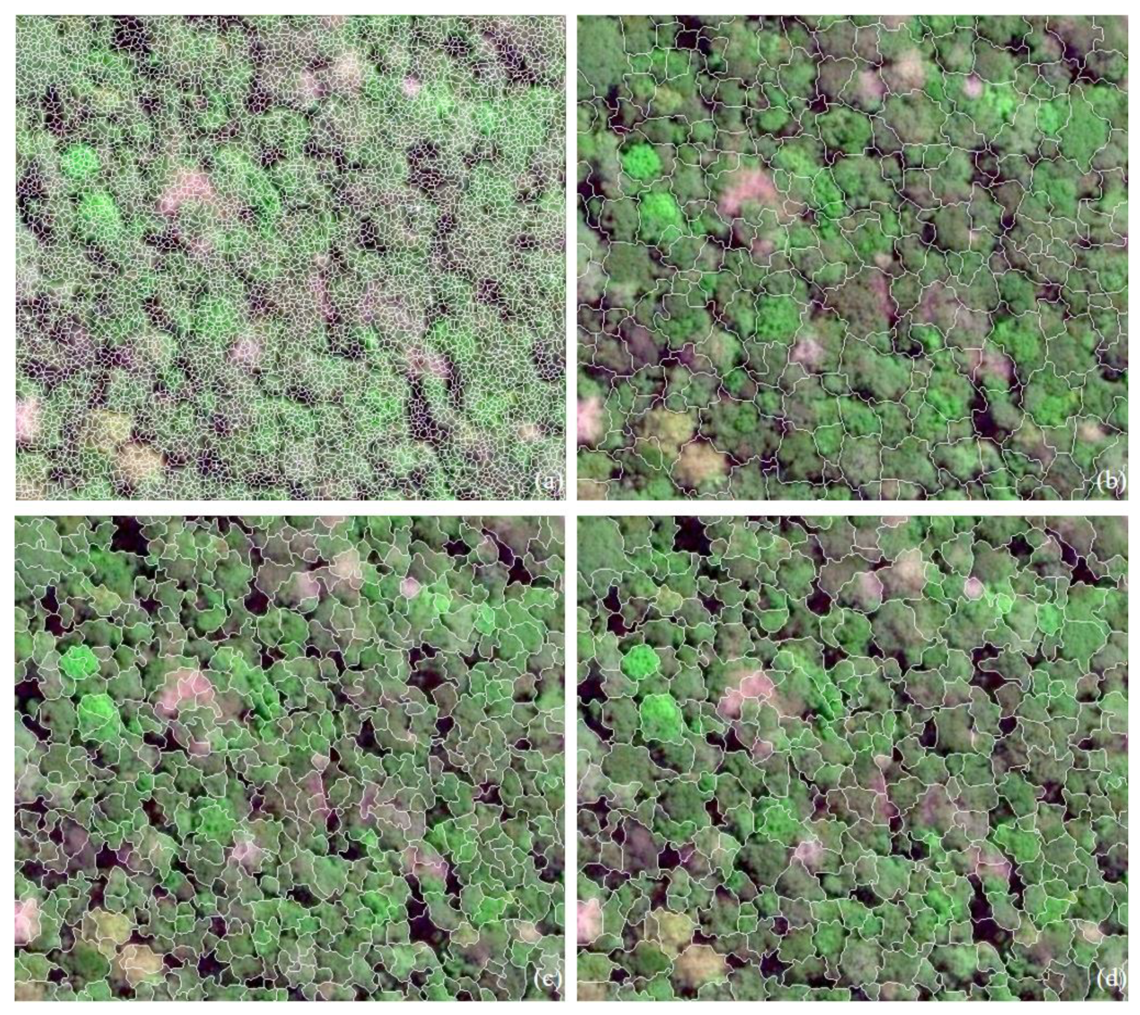 Remotesensing 12 00585 g009 Remotesensing 12 00585 g009