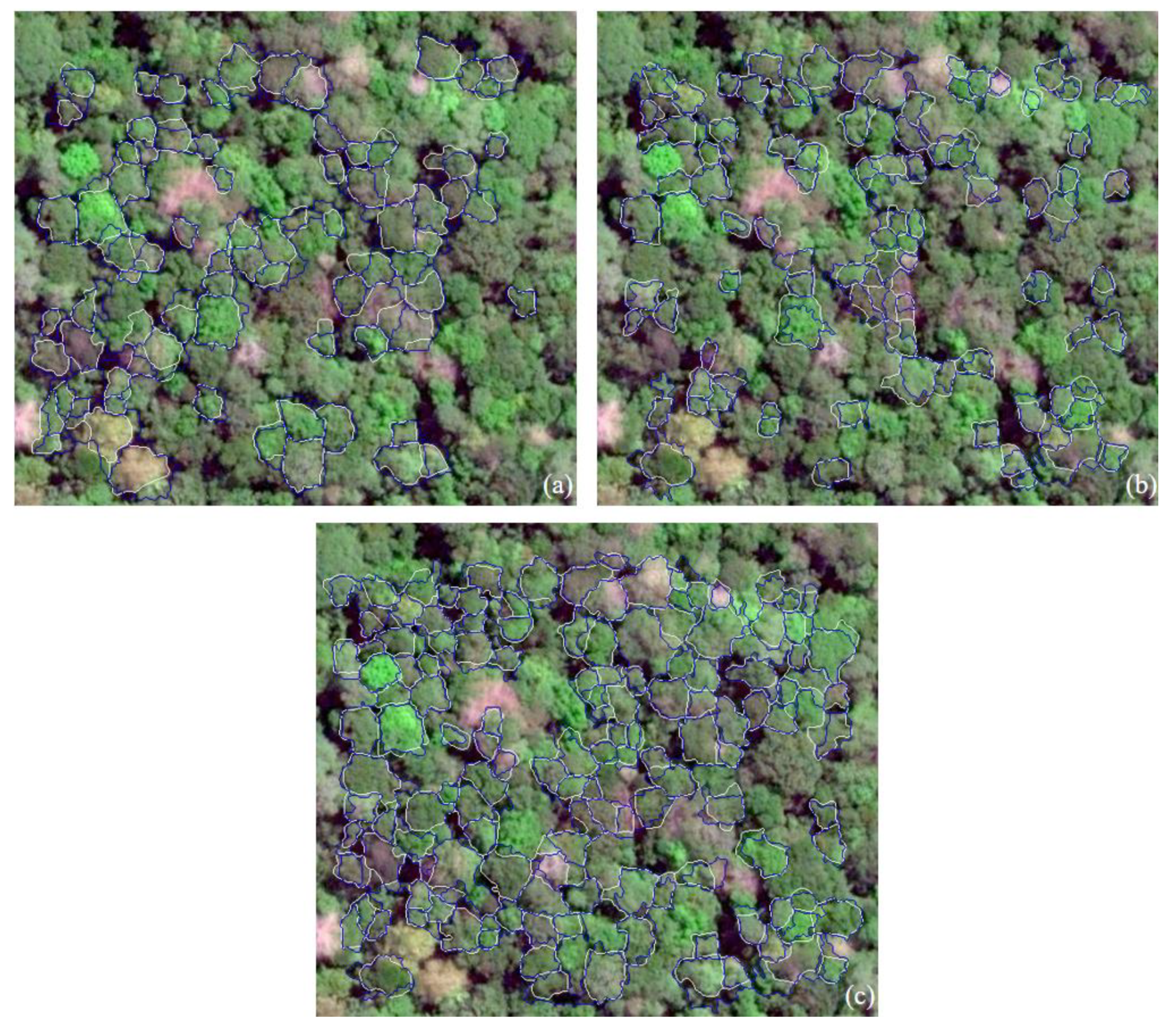 Remotesensing 12 00585 g011 Remotesensing 12 00585 g011