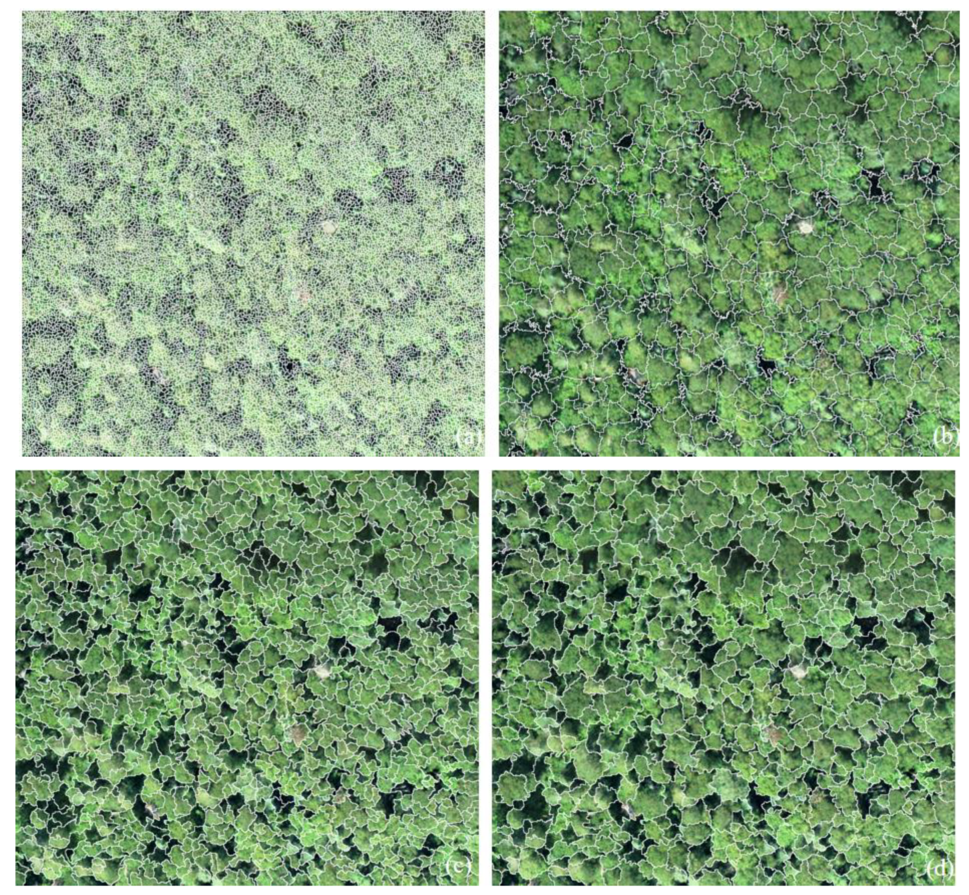 Remotesensing 12 00585 g012 Remotesensing 12 00585 g012