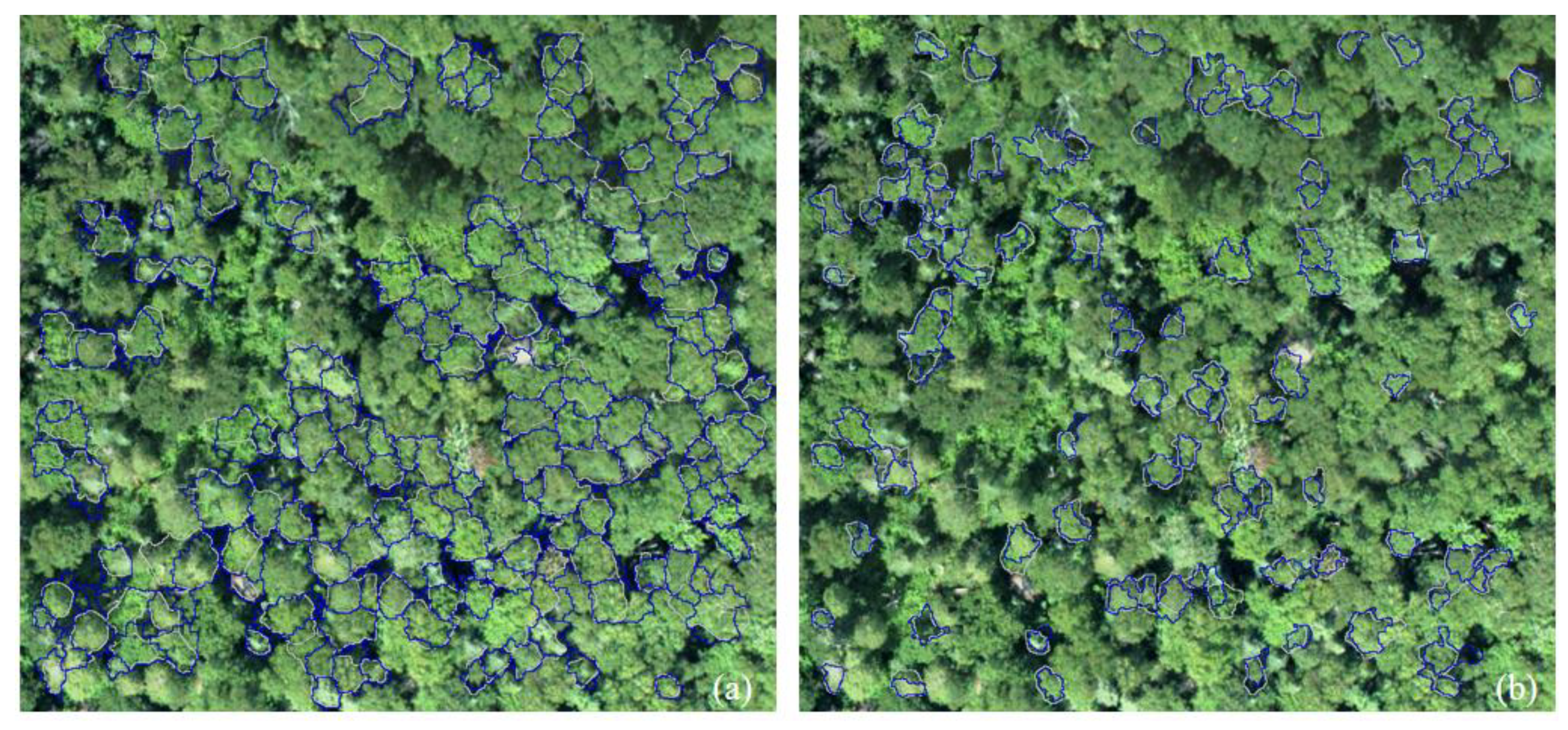 Remotesensing 12 00585 g014a Remotesensing 12 00585 g014a