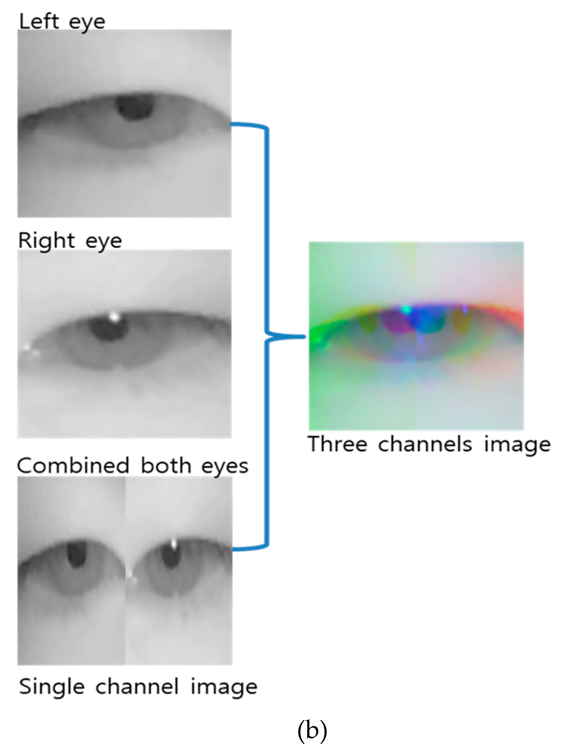 Remotesensing 12 00587 g006b