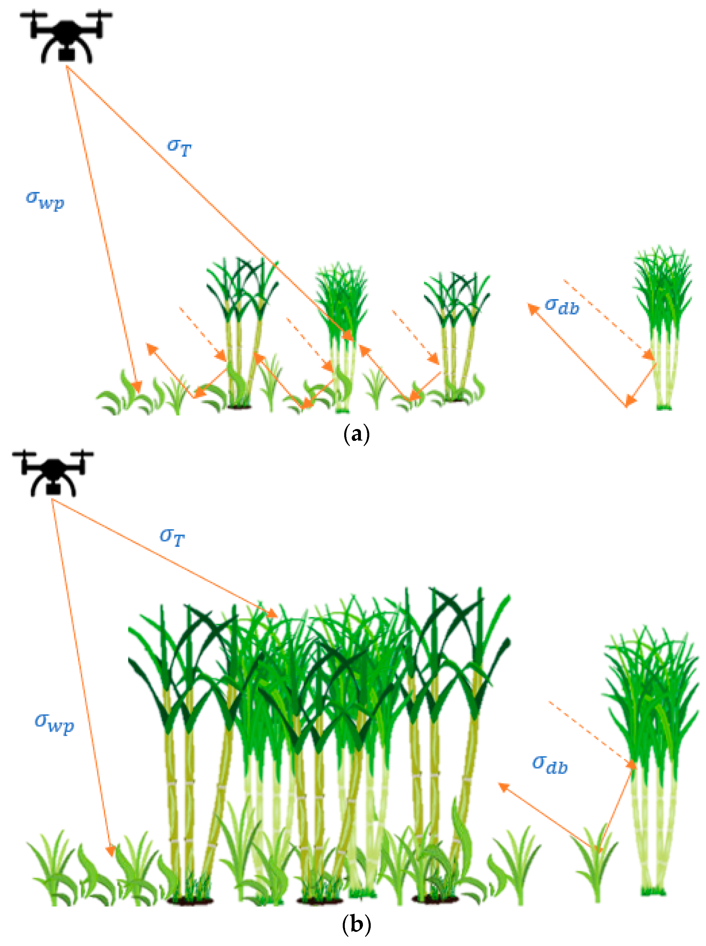 Remotesensing 12 00615 g006