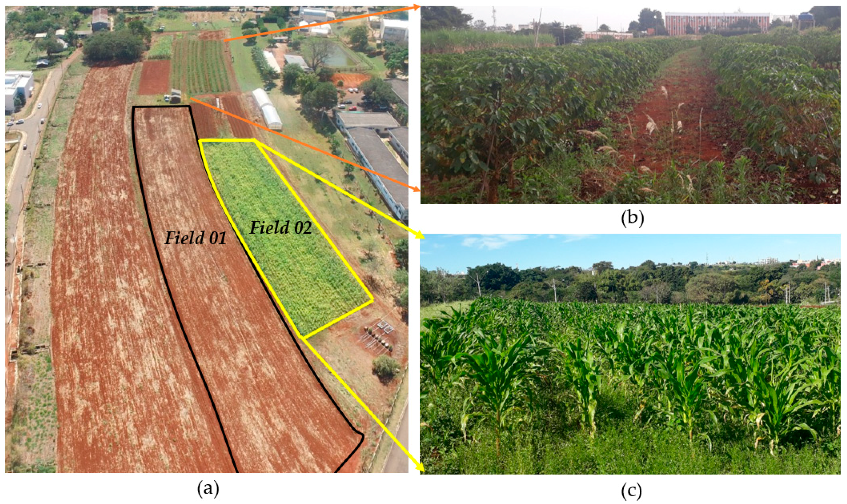 Remotesensing 12 00615 g008