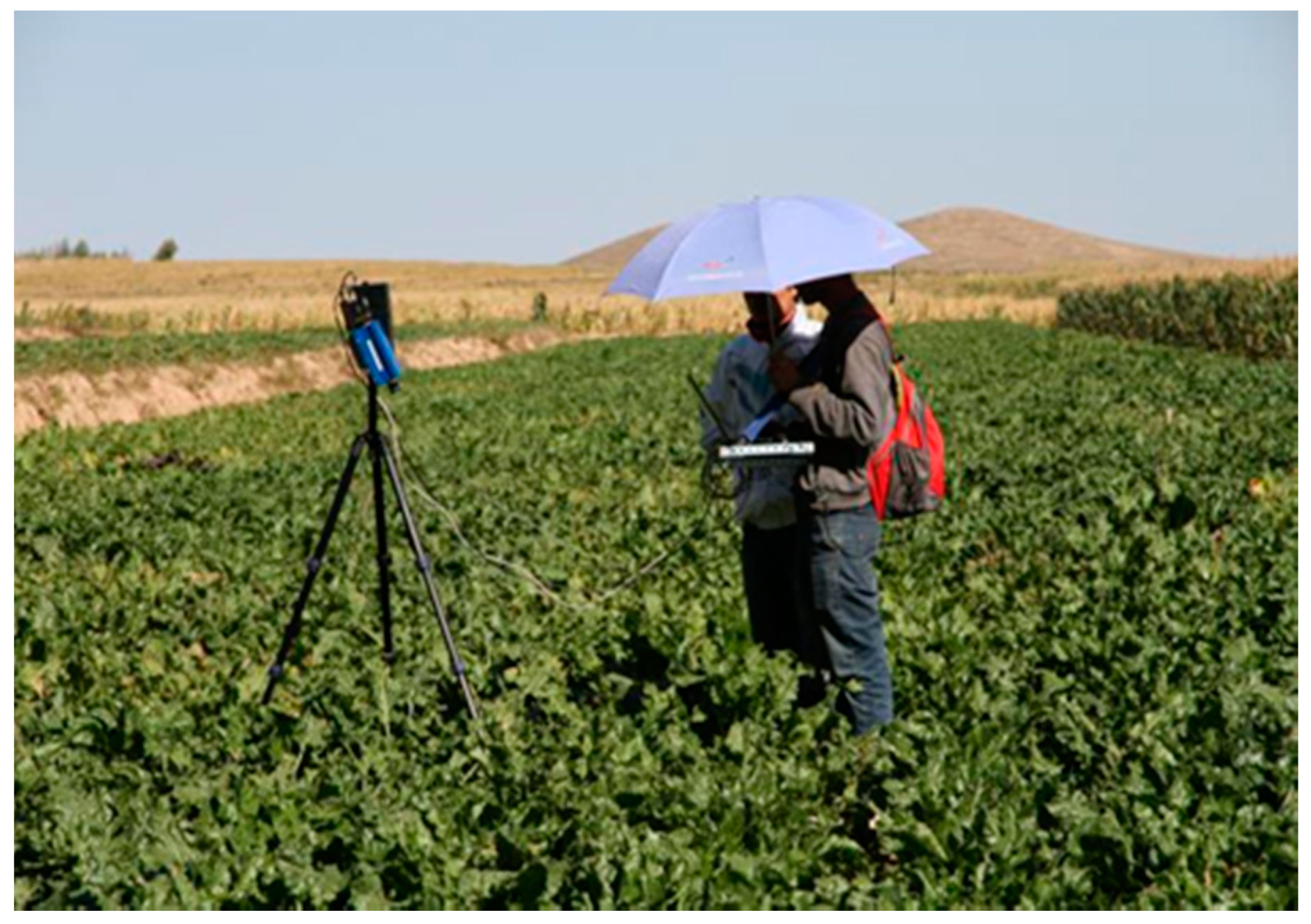 Remotesensing 12 00620 g002 Remotesensing 12 00620 g002