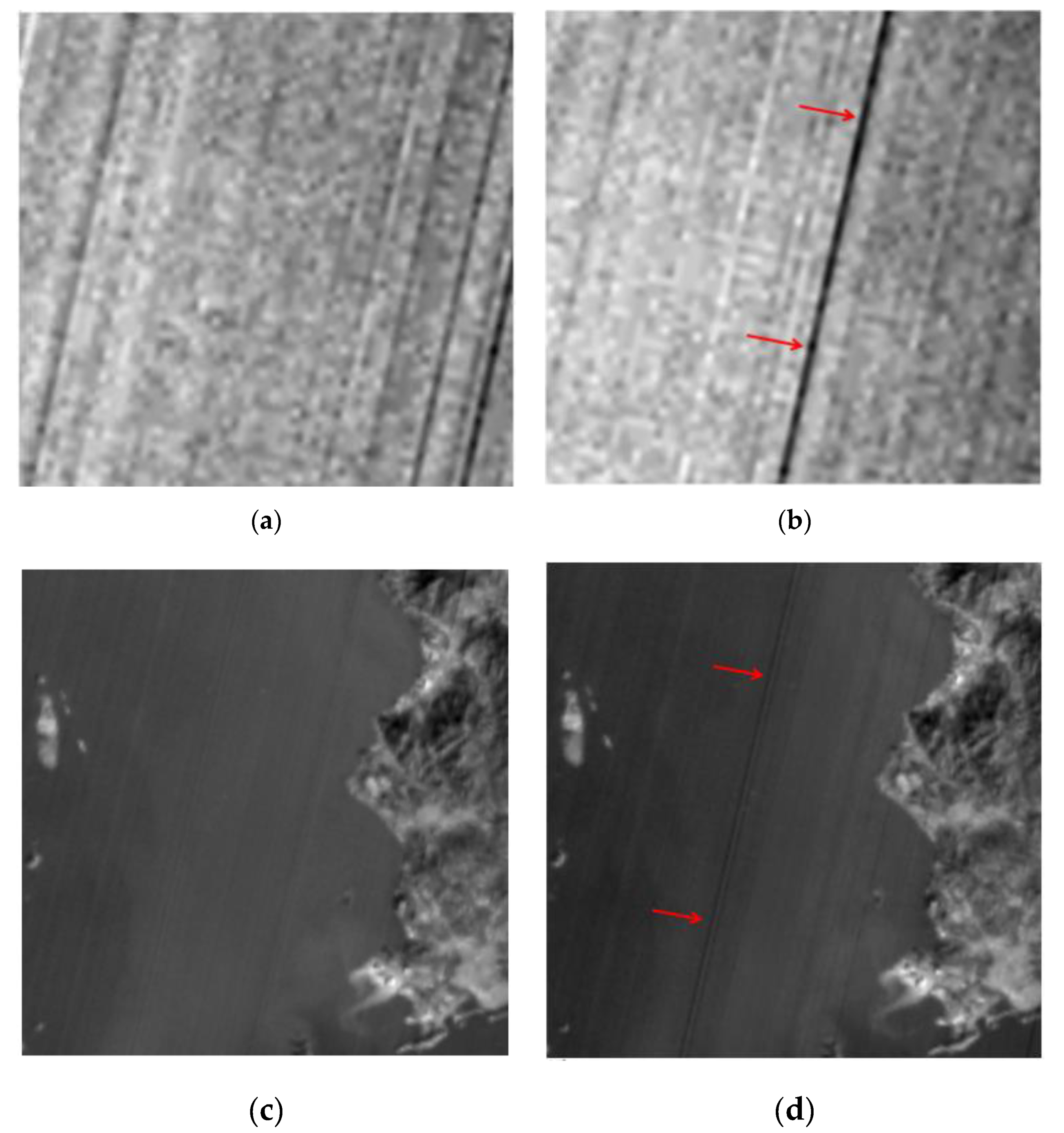 Remotesensing 12 00627 g004 Remotesensing 12 00627 g004
