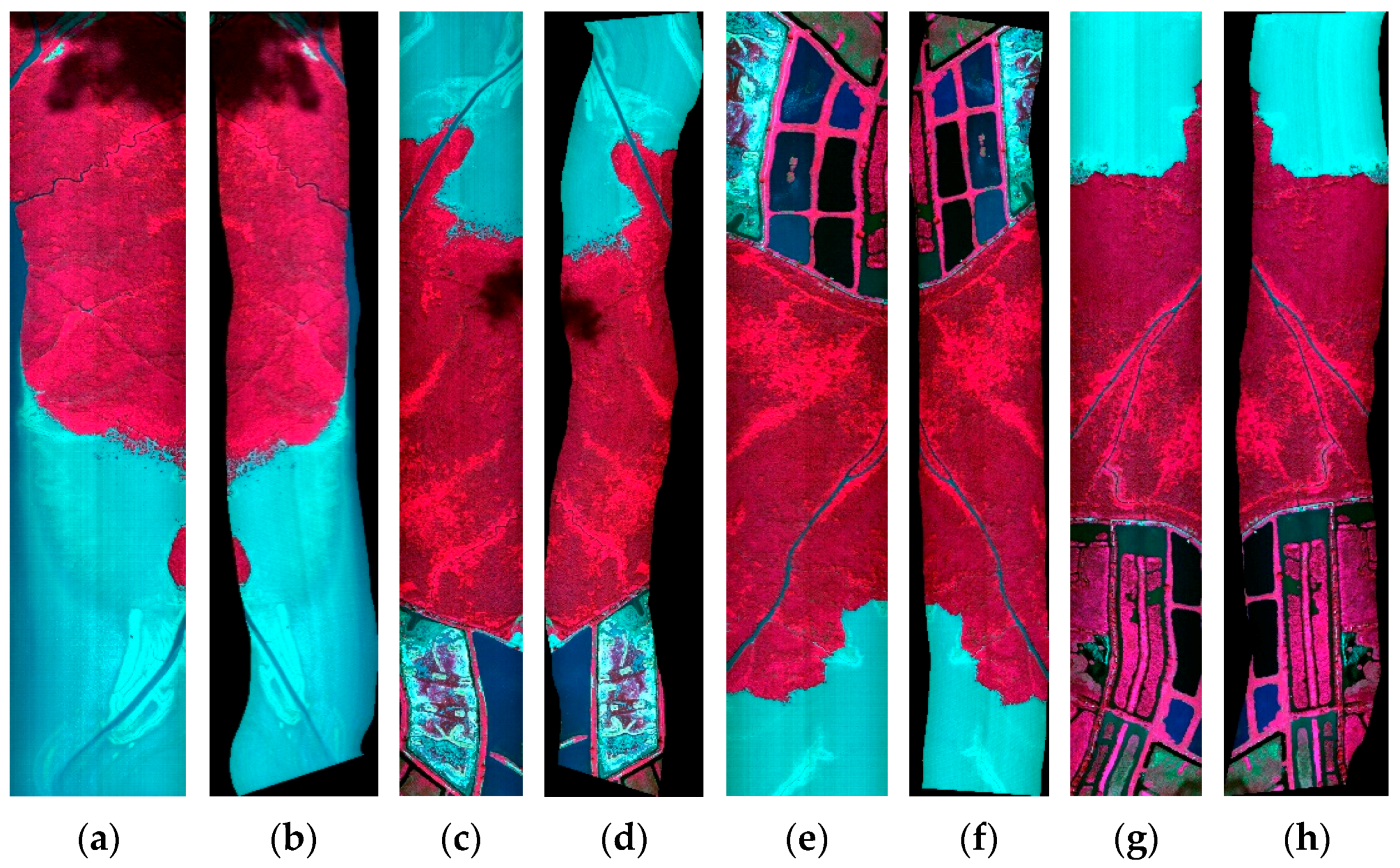 Remotesensing 12 00657 g008