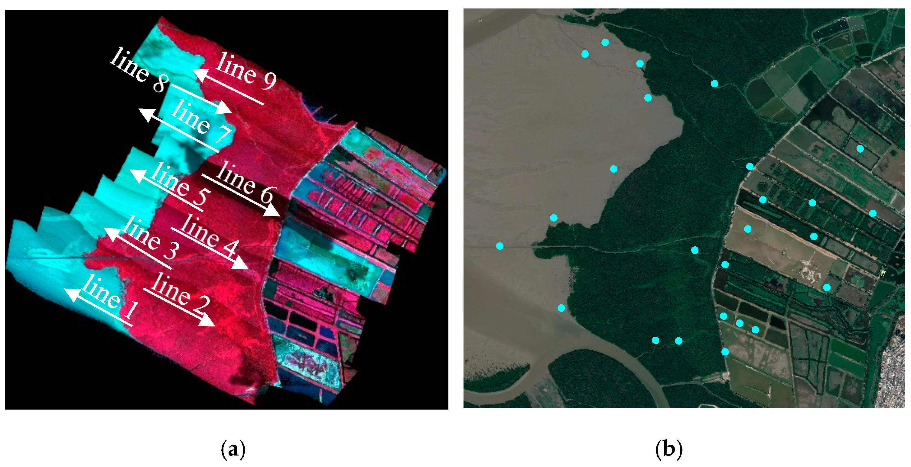 Remotesensing 12 00657 g009