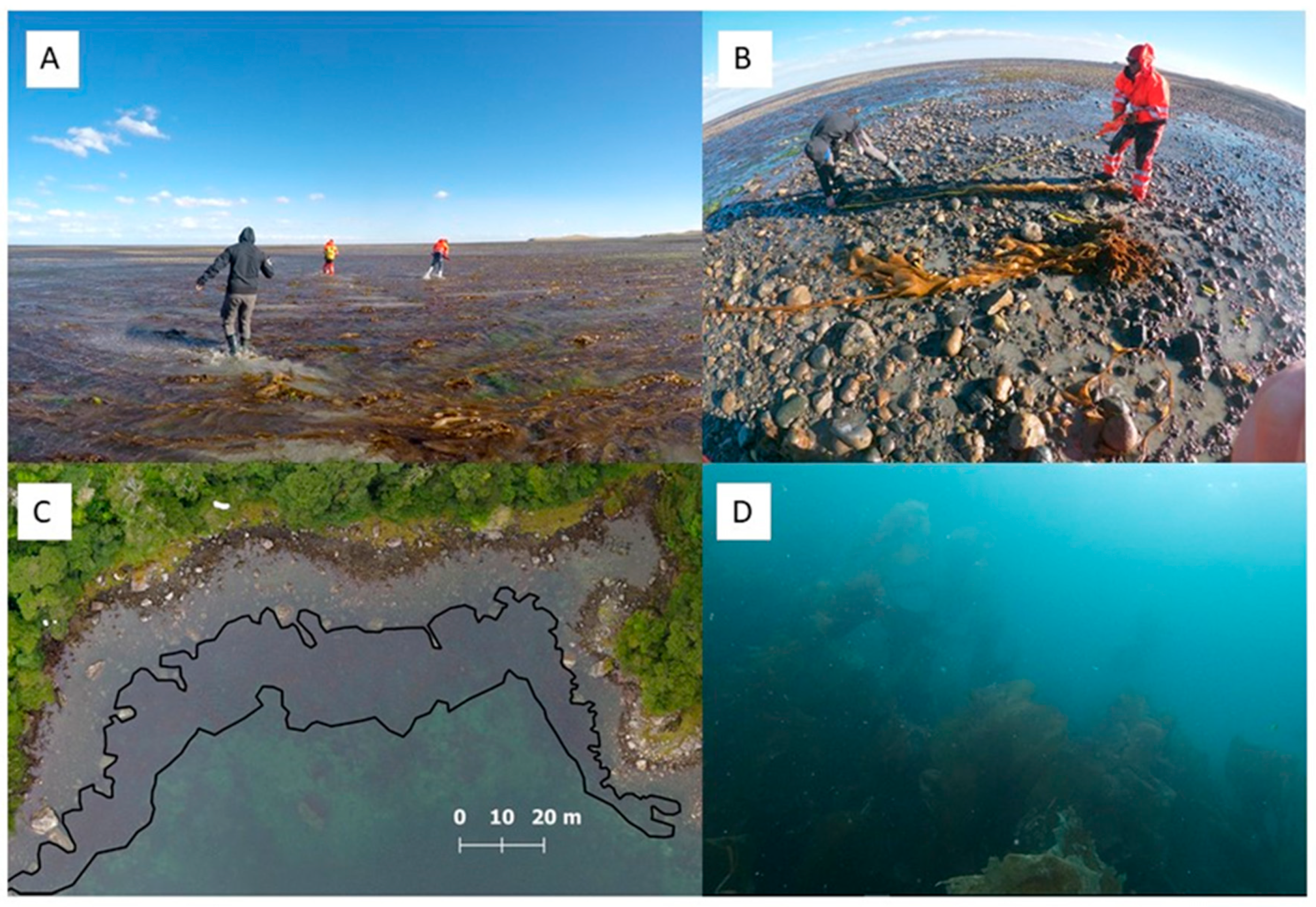 Remotesensing 12 00694 g006