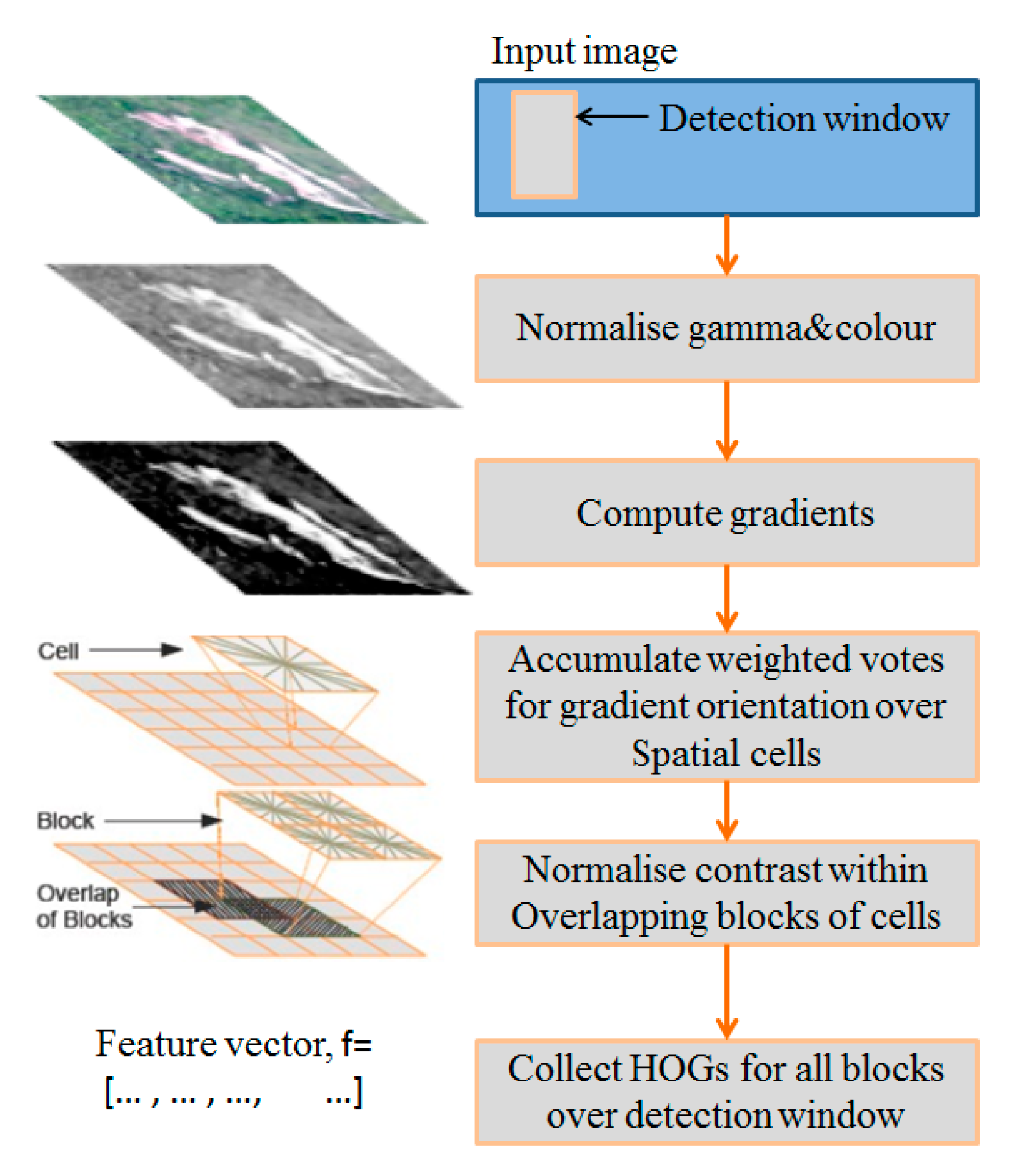 Remotesensing 12 00752 g003