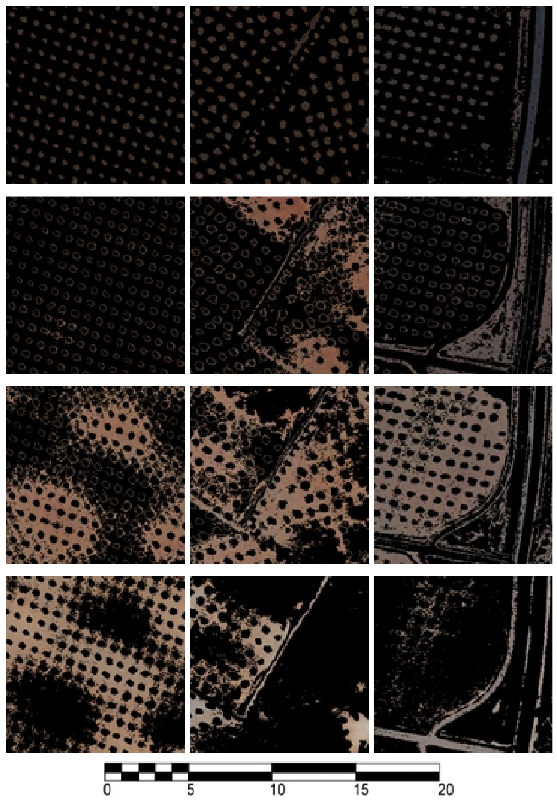 Remotesensing 12 00760 g007 Remotesensing 12 00760 g007