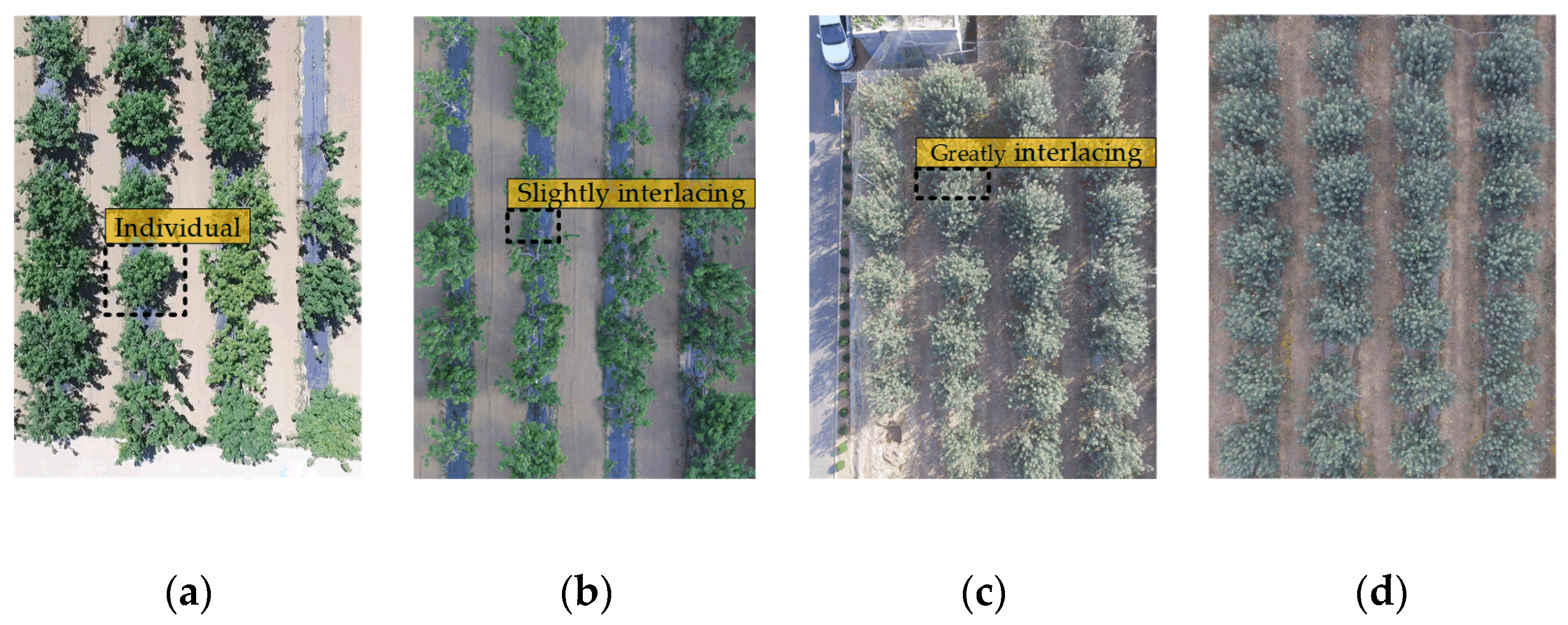 Remotesensing 12 00767 g001