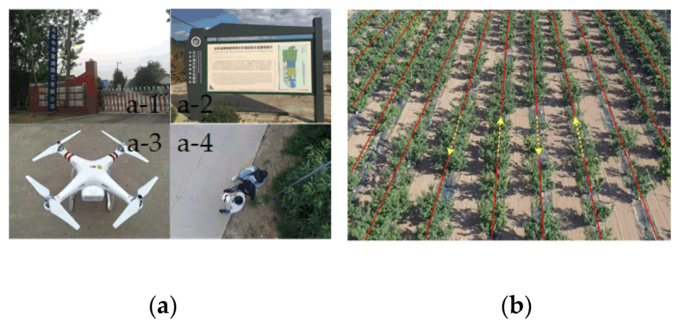 Remotesensing 12 00767 g002